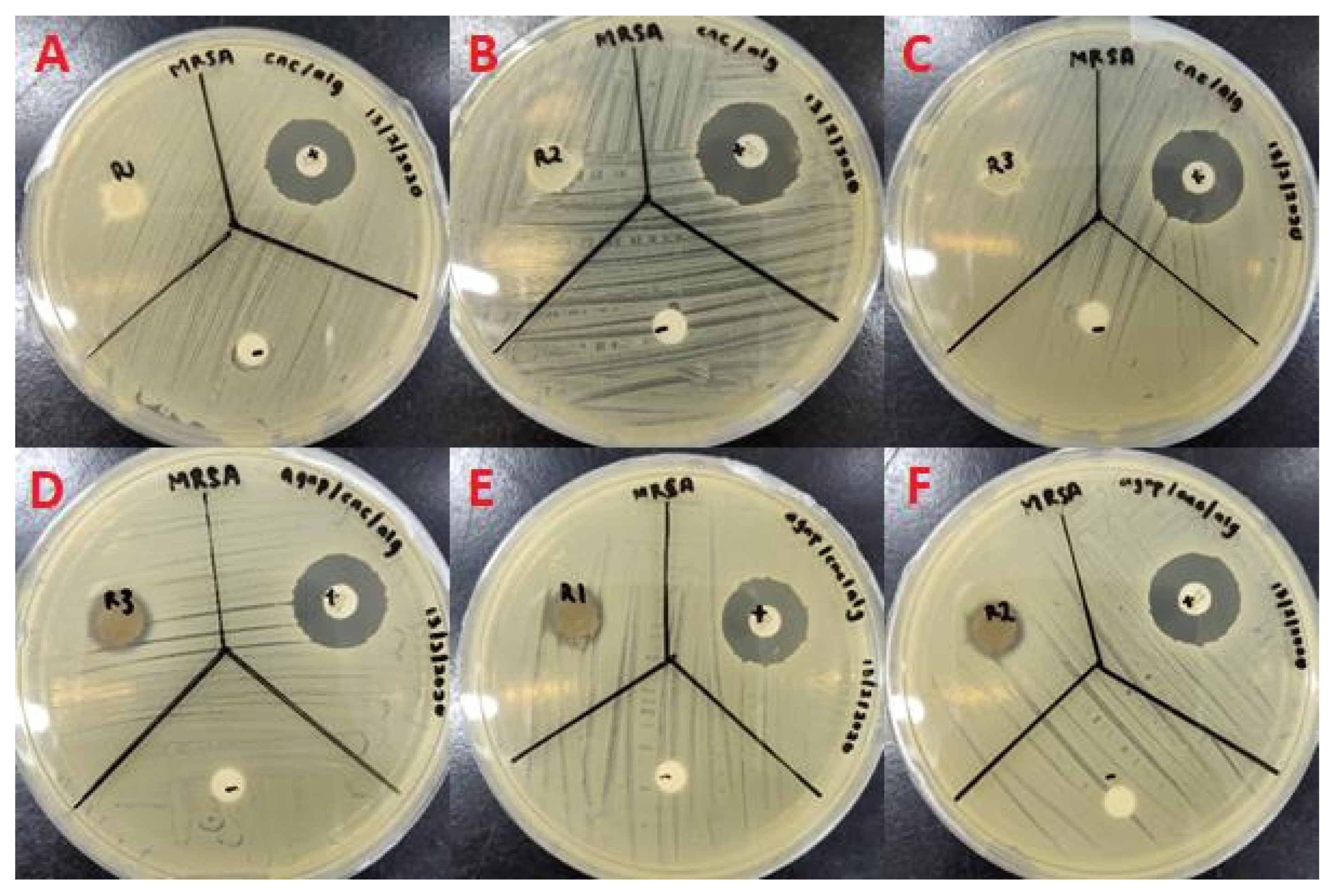 Molecules 26 06414 g011