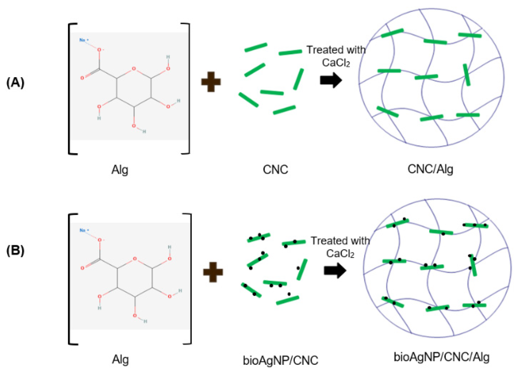 Molecules 26 06414 g012