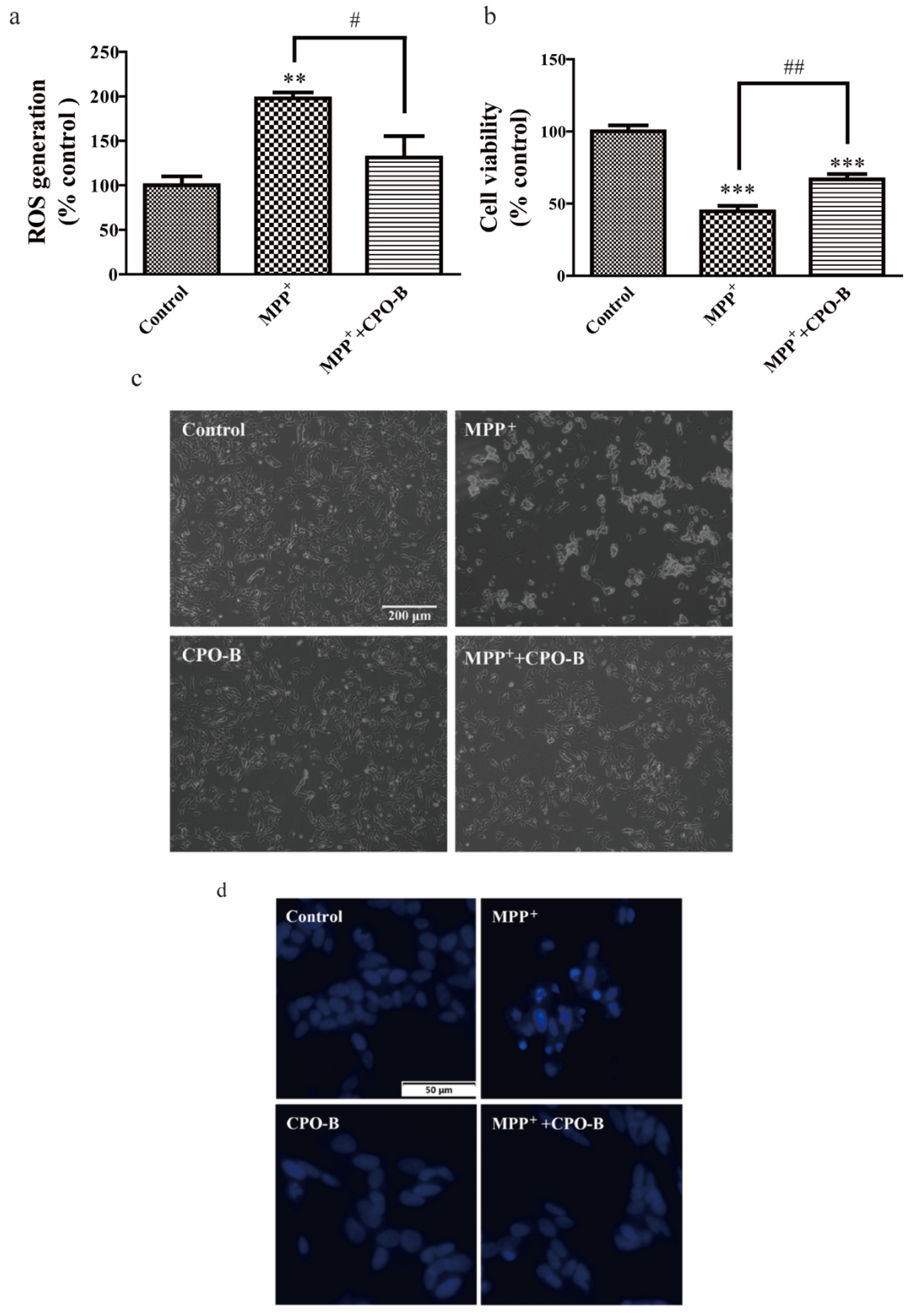 Molecules 26 06422 g001 550