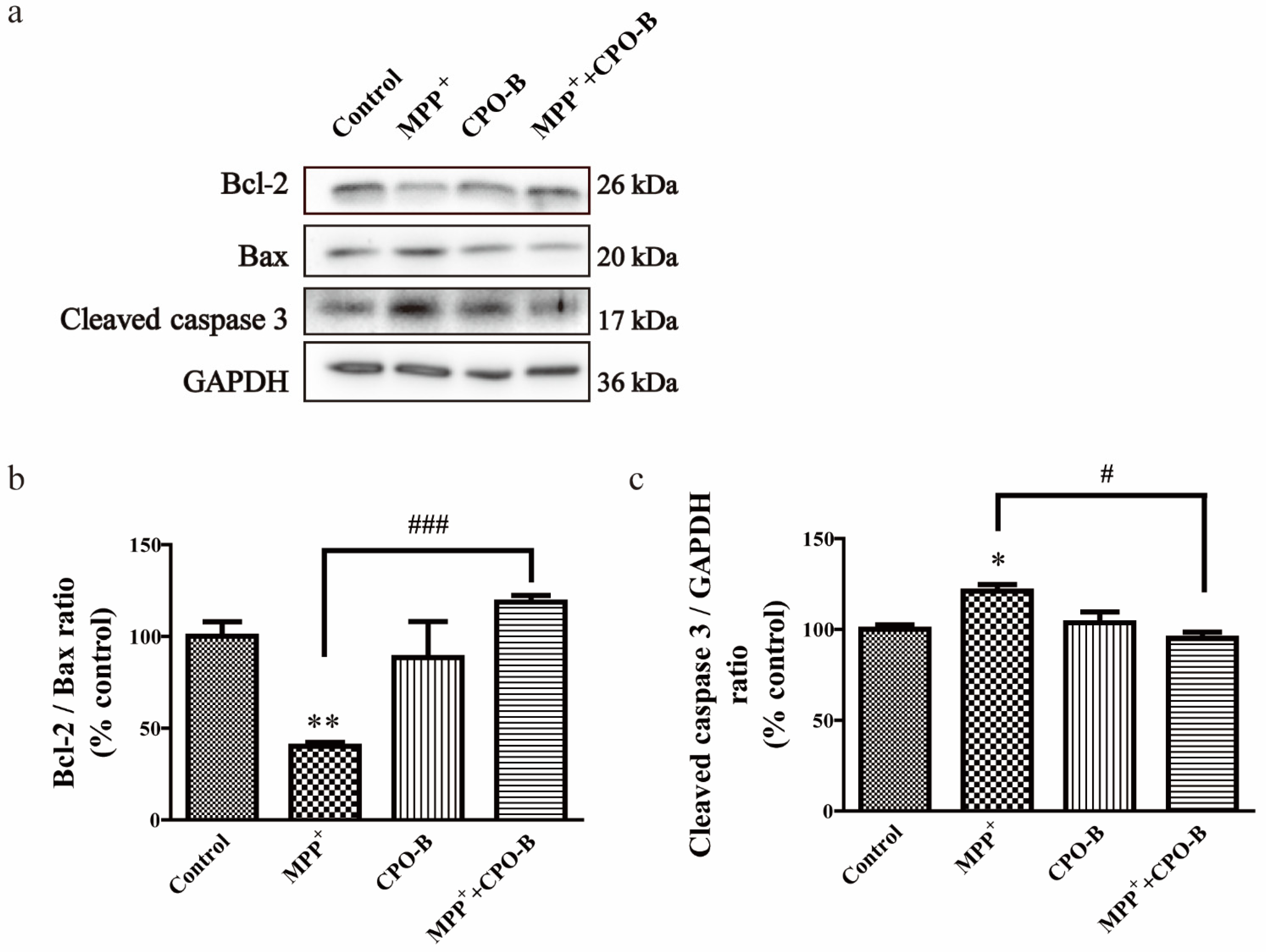 Molecules 26 06422 g002 550