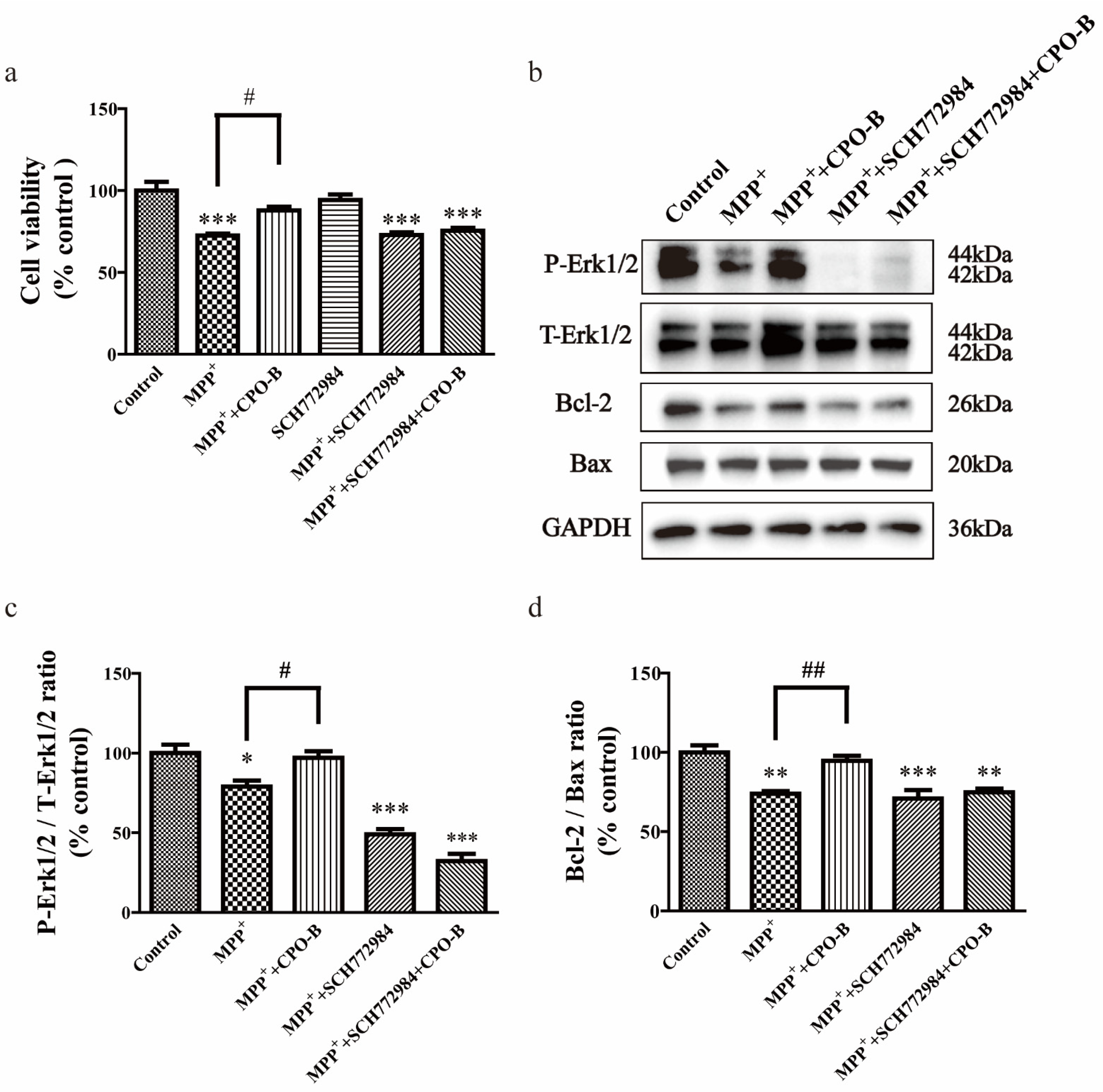 Molecules 26 06422 g004 550