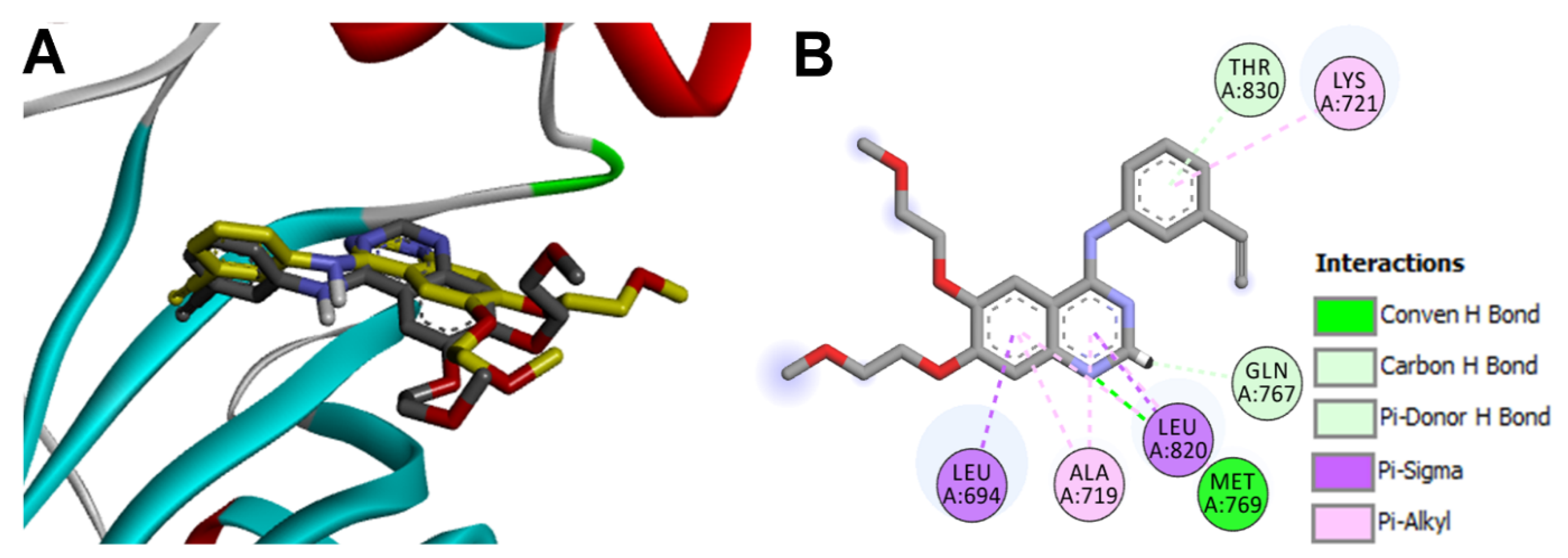 Molecules 26 06423 g005