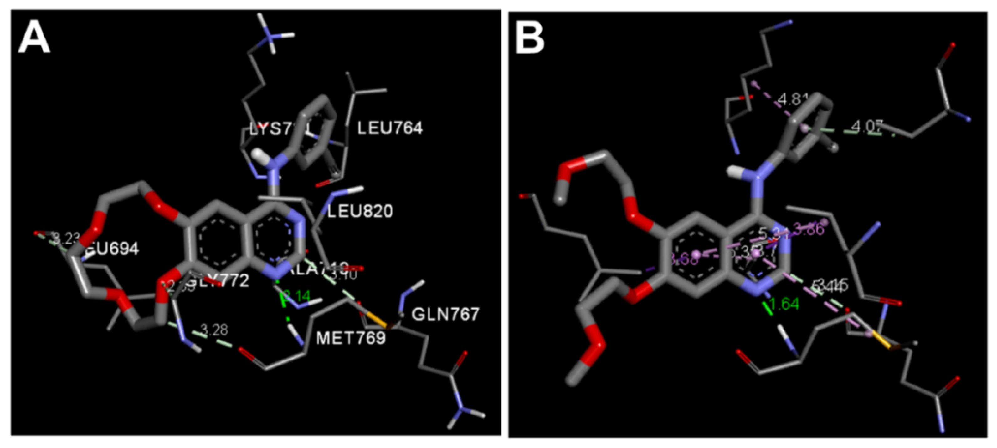 Molecules 26 06423 g008