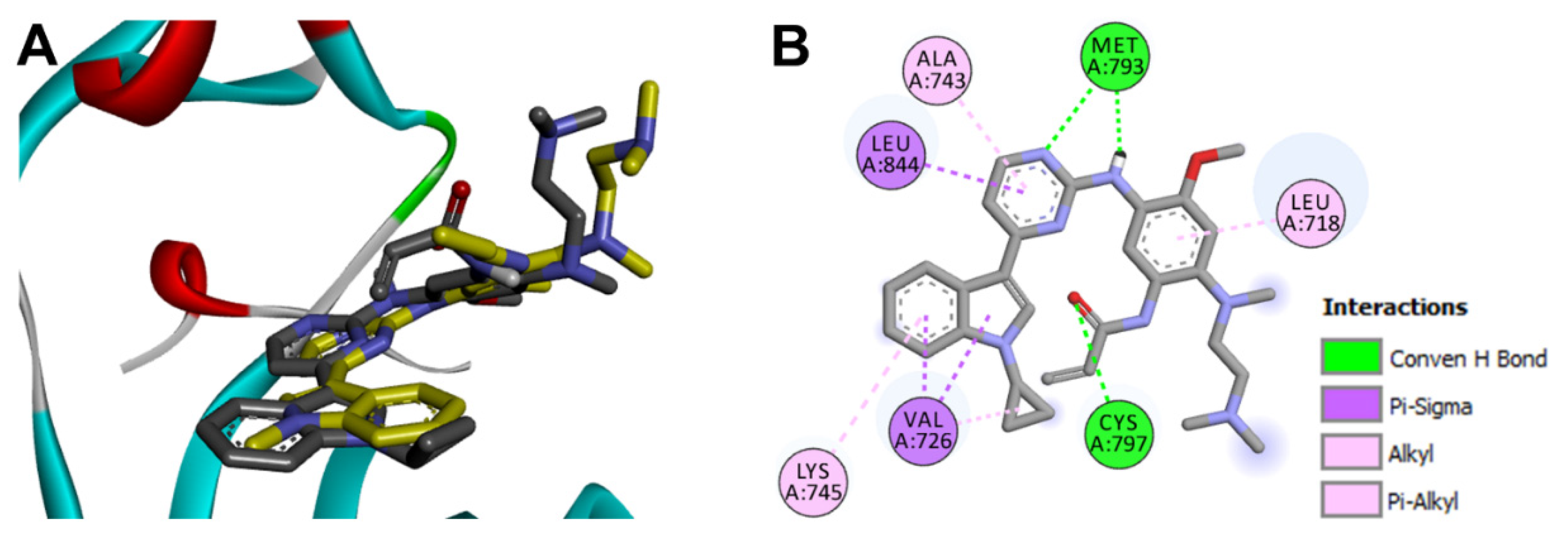Molecules 26 06423 g012
