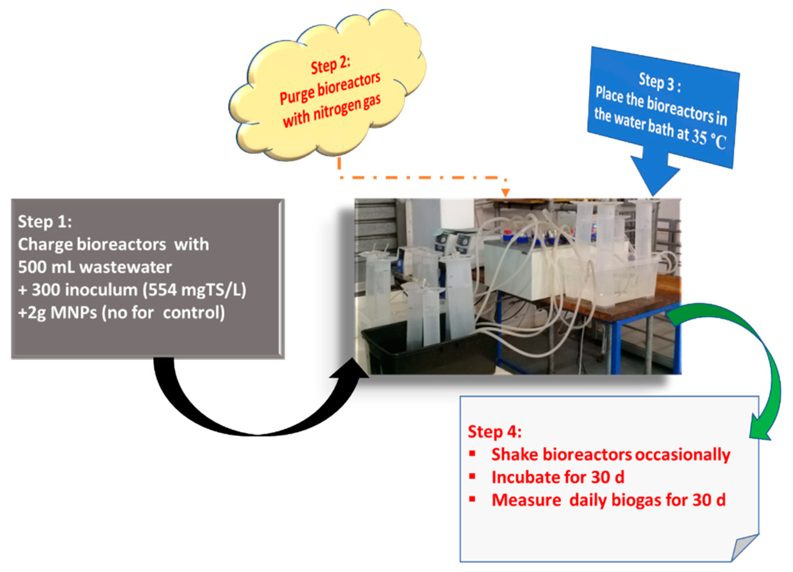 Molecules 26 06434 g006