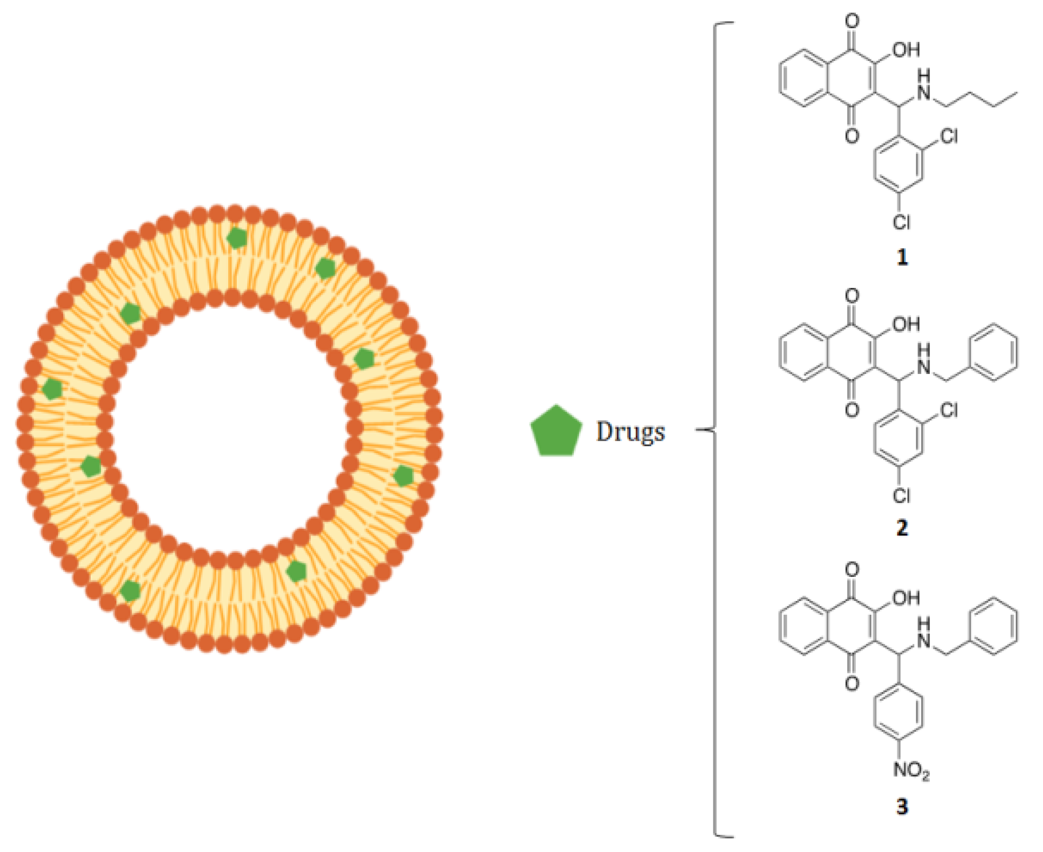 Molecules 26 06440 g001