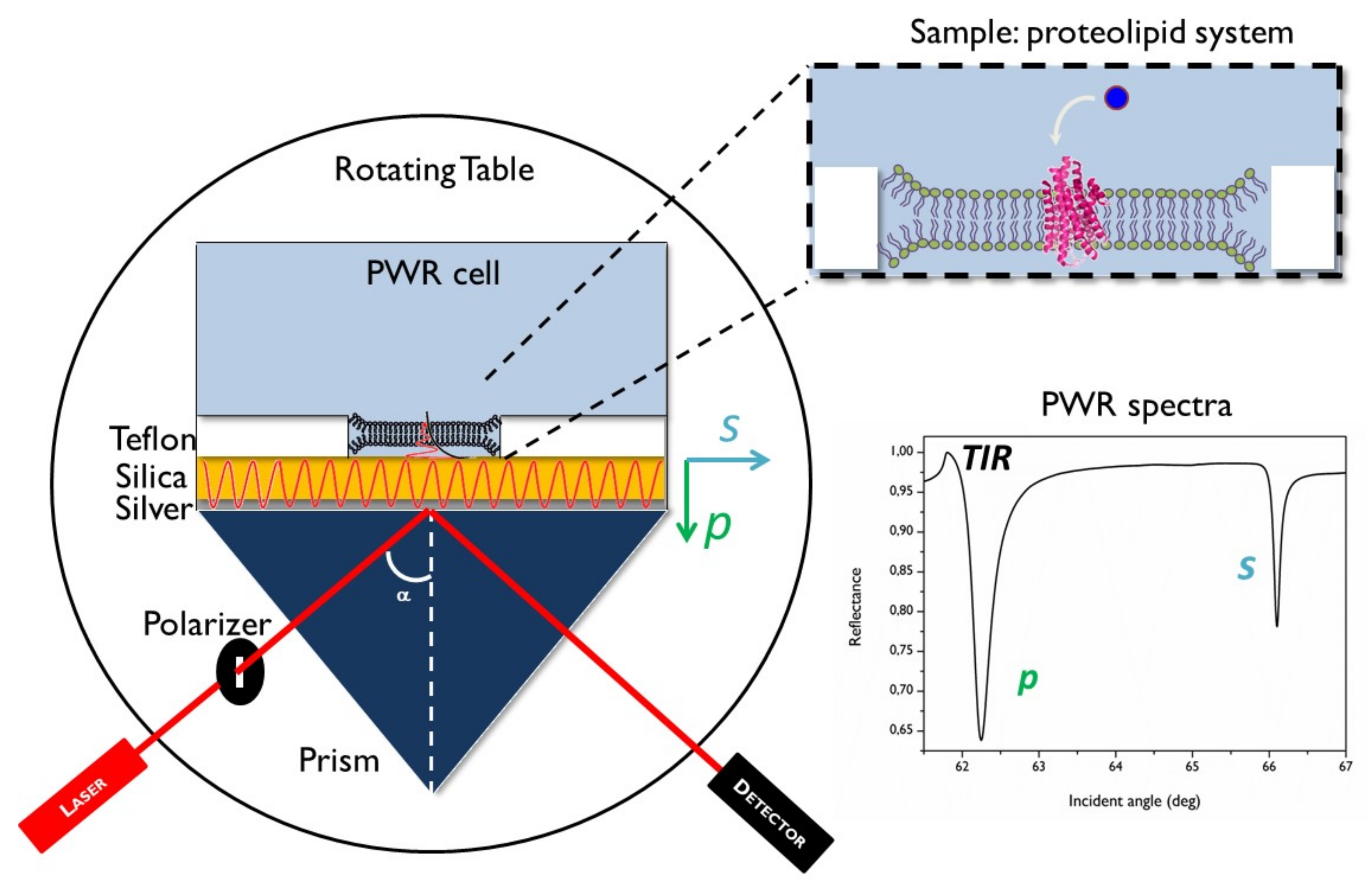 Molecules 26 06442 g001 Molecules 26 06442 g001