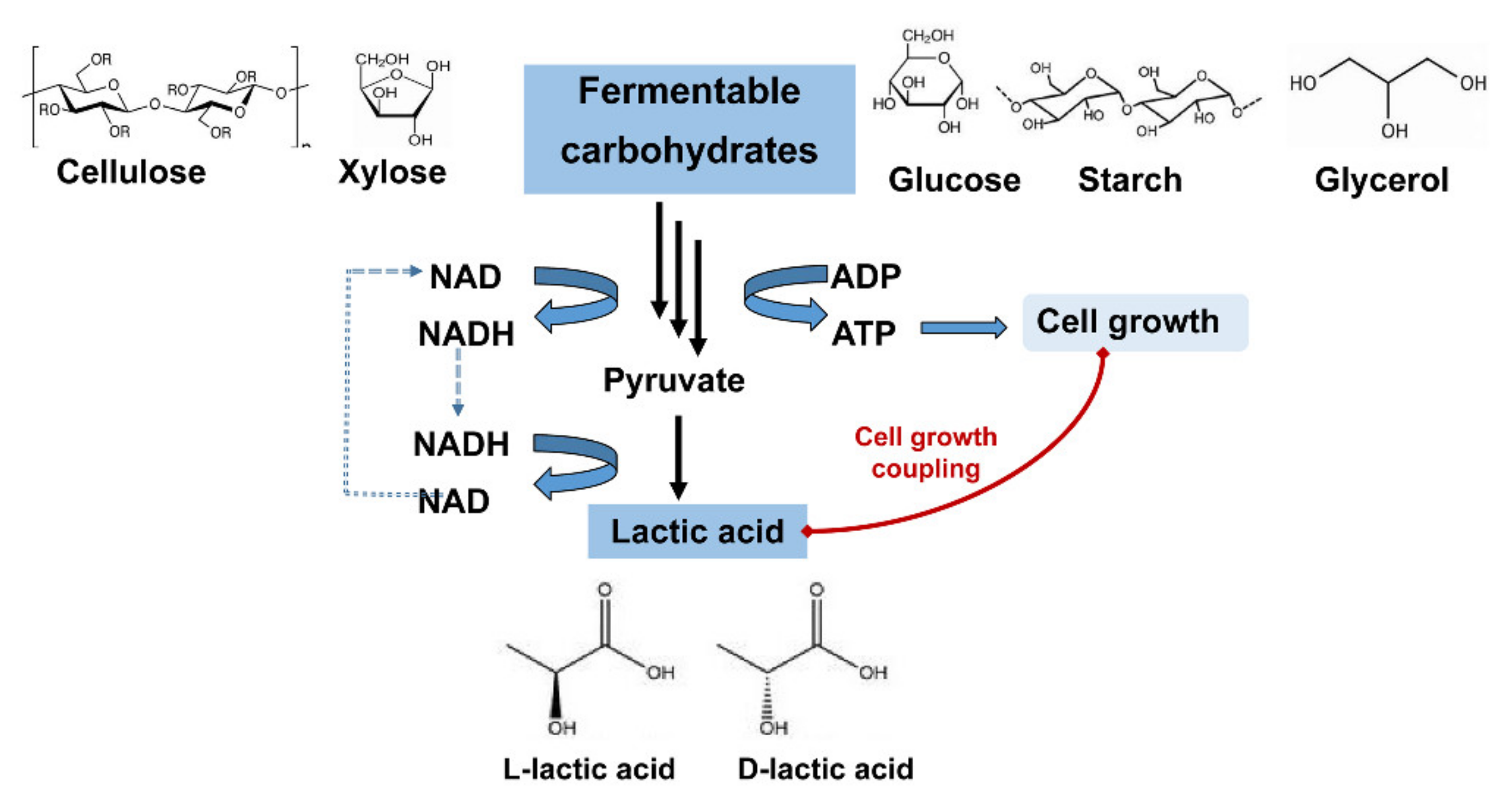 Molecules 26 06446 g001 Molecules 26 06446 g001