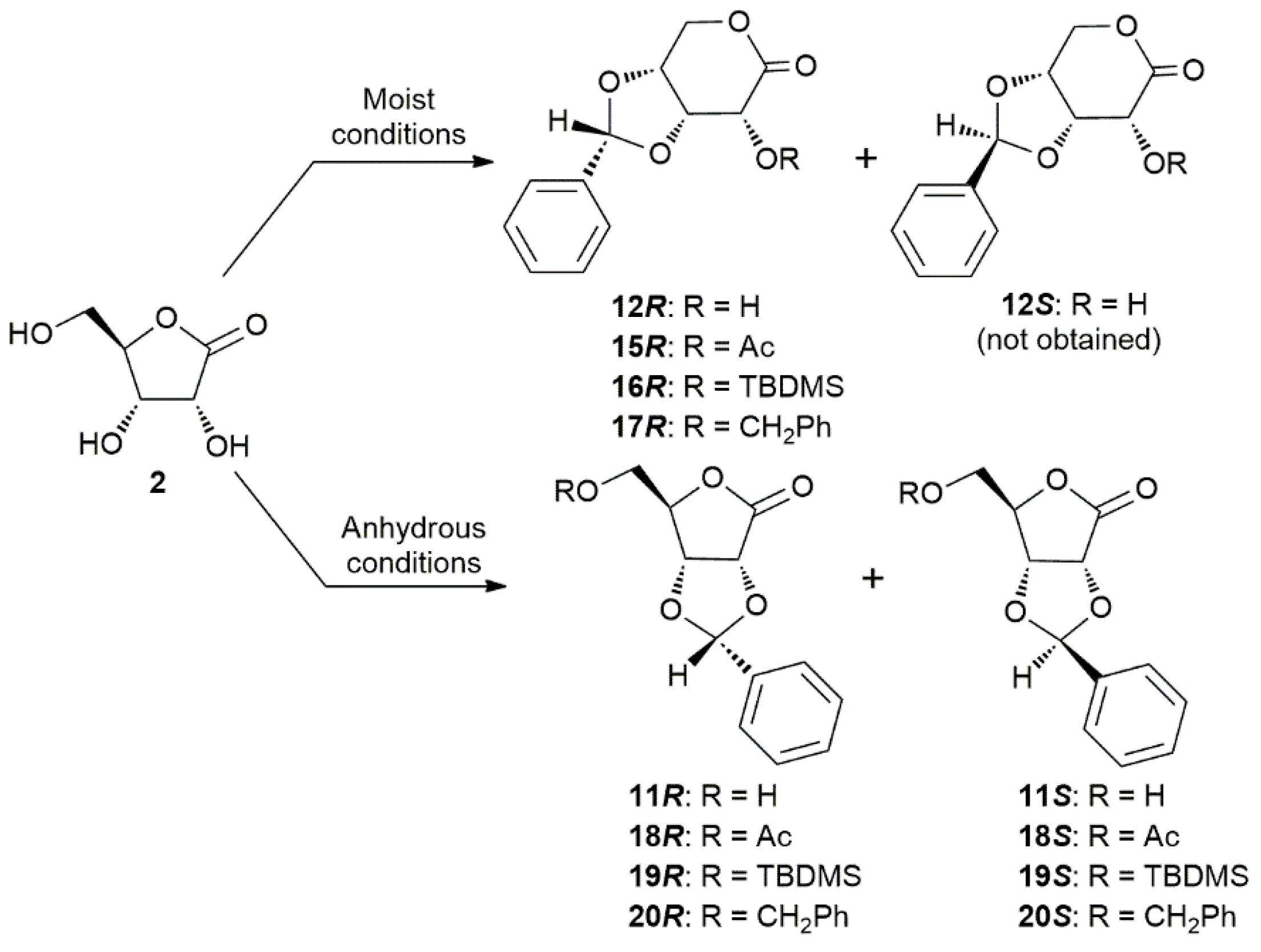 Molecules 26 06447 sch003 550