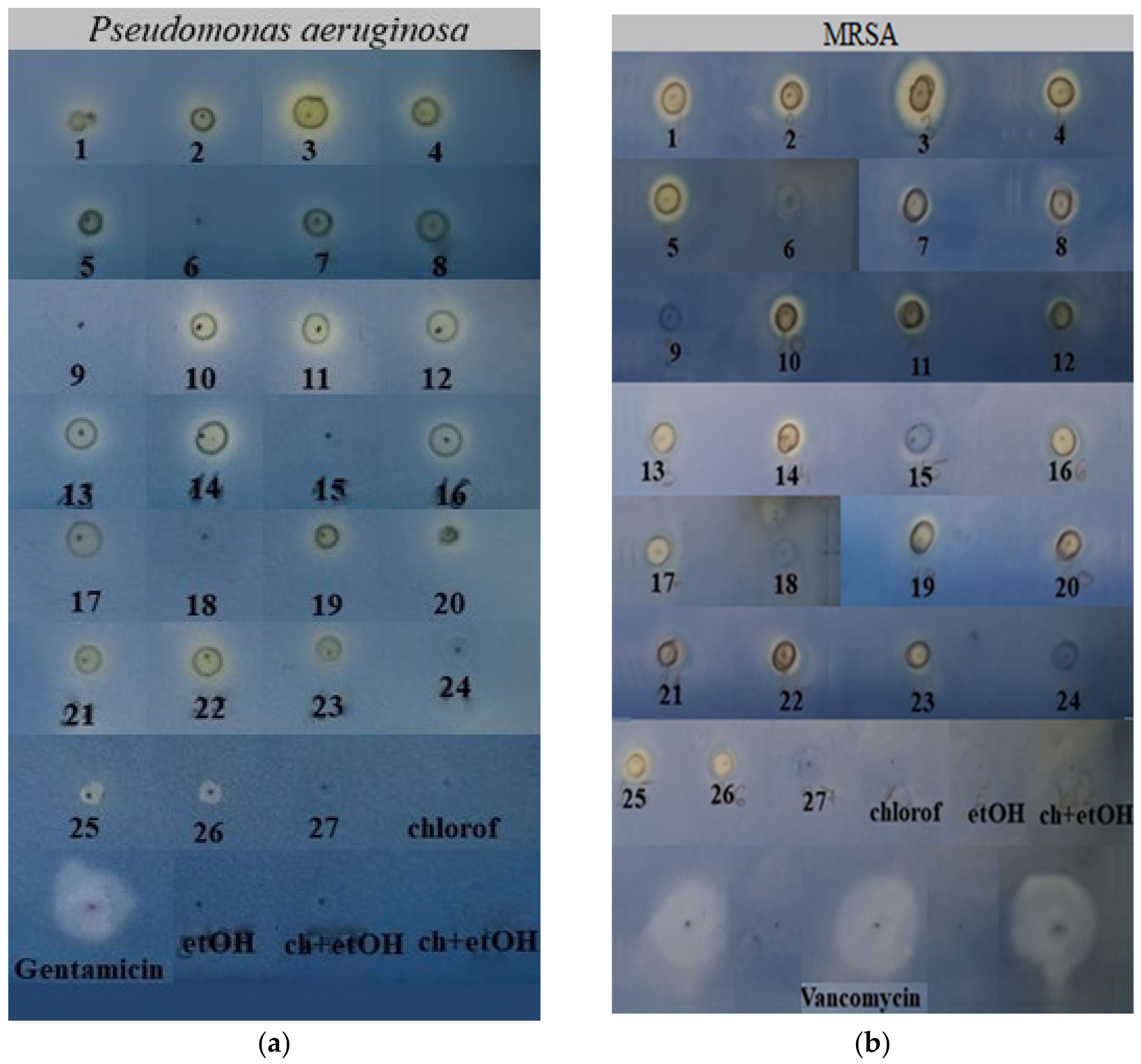 Molecules 26 06449 g001
