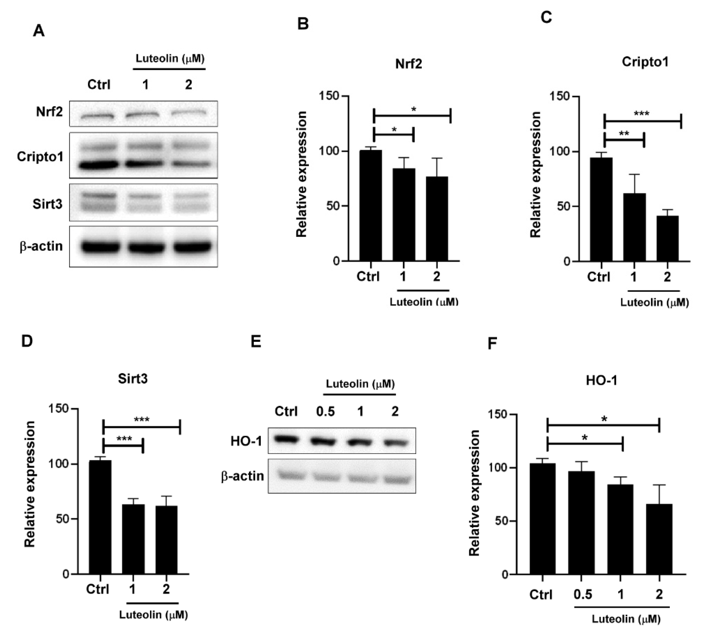 Molecules 26 06452 g002