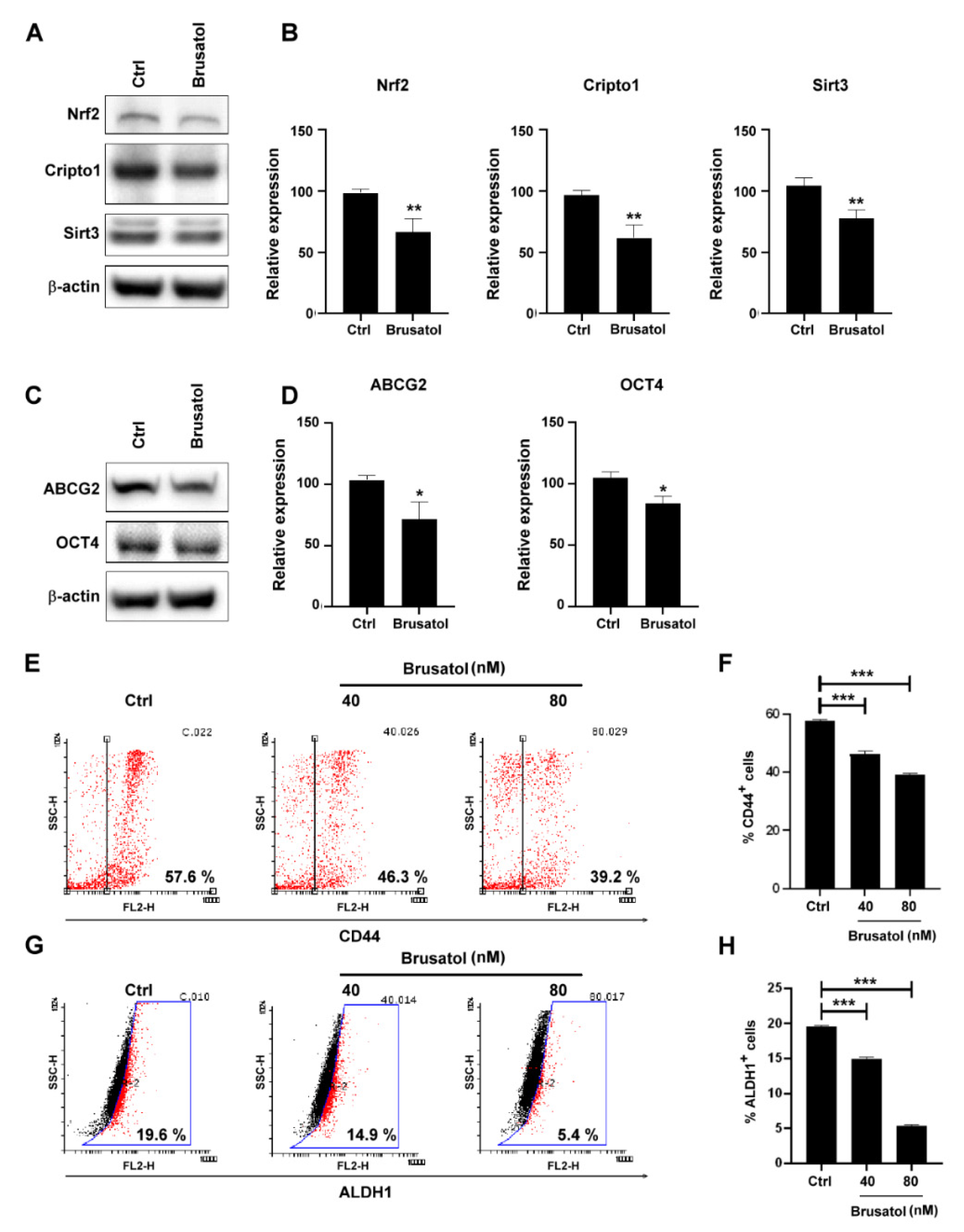 Molecules 26 06452 g003