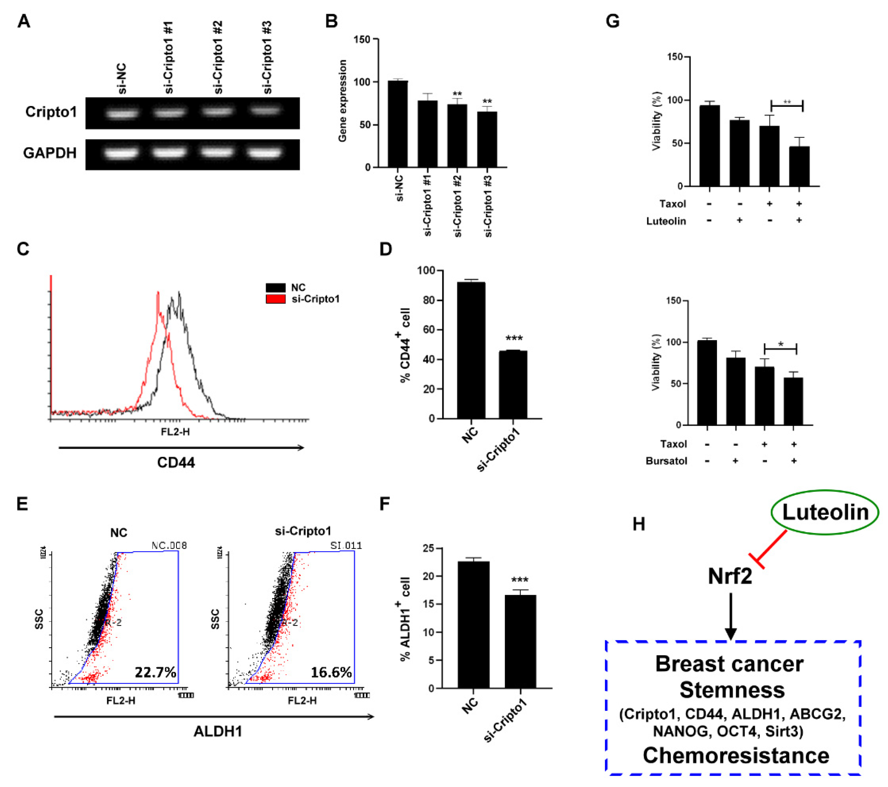 Molecules 26 06452 g004