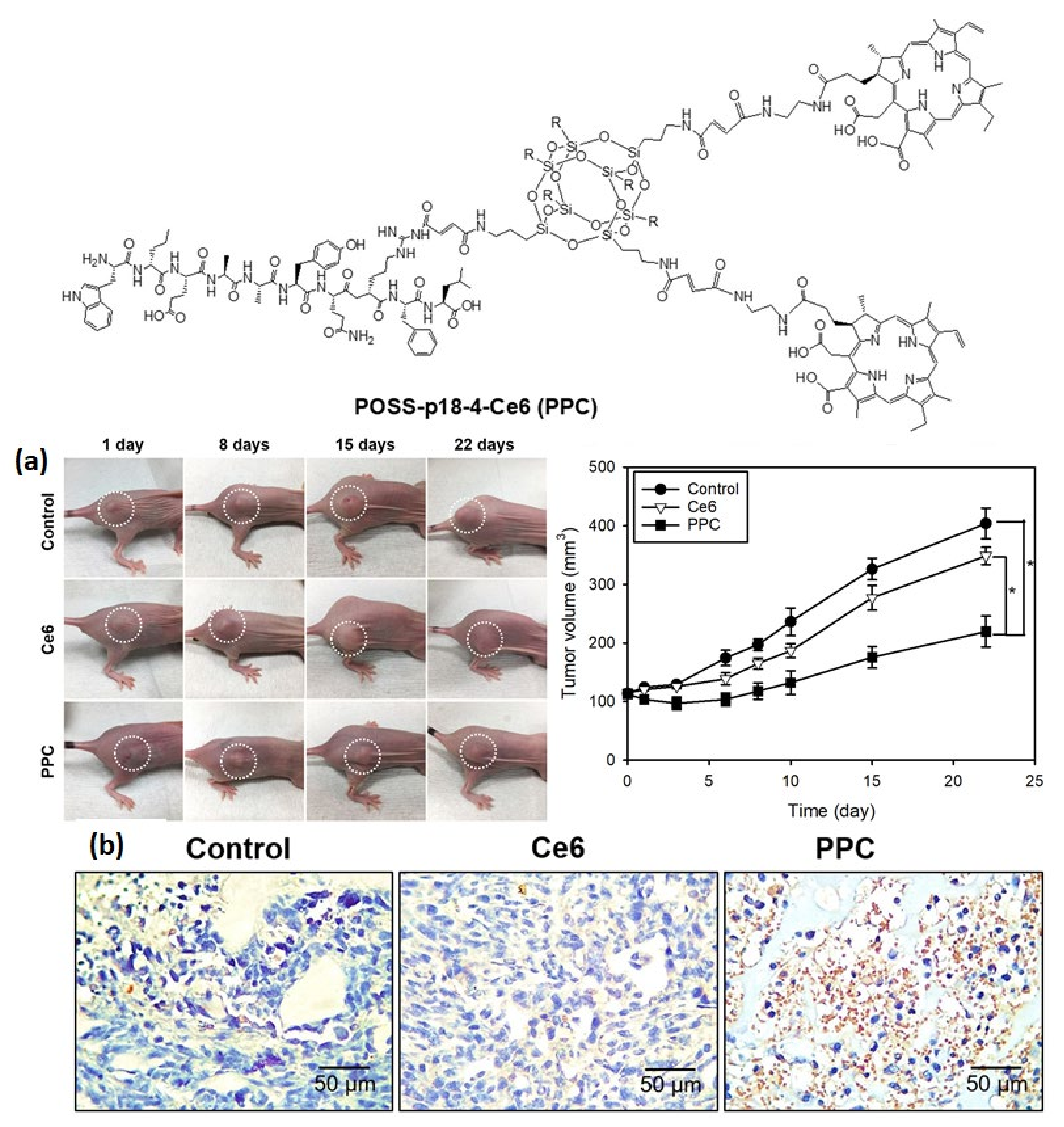 Molecules 26 06453 g004