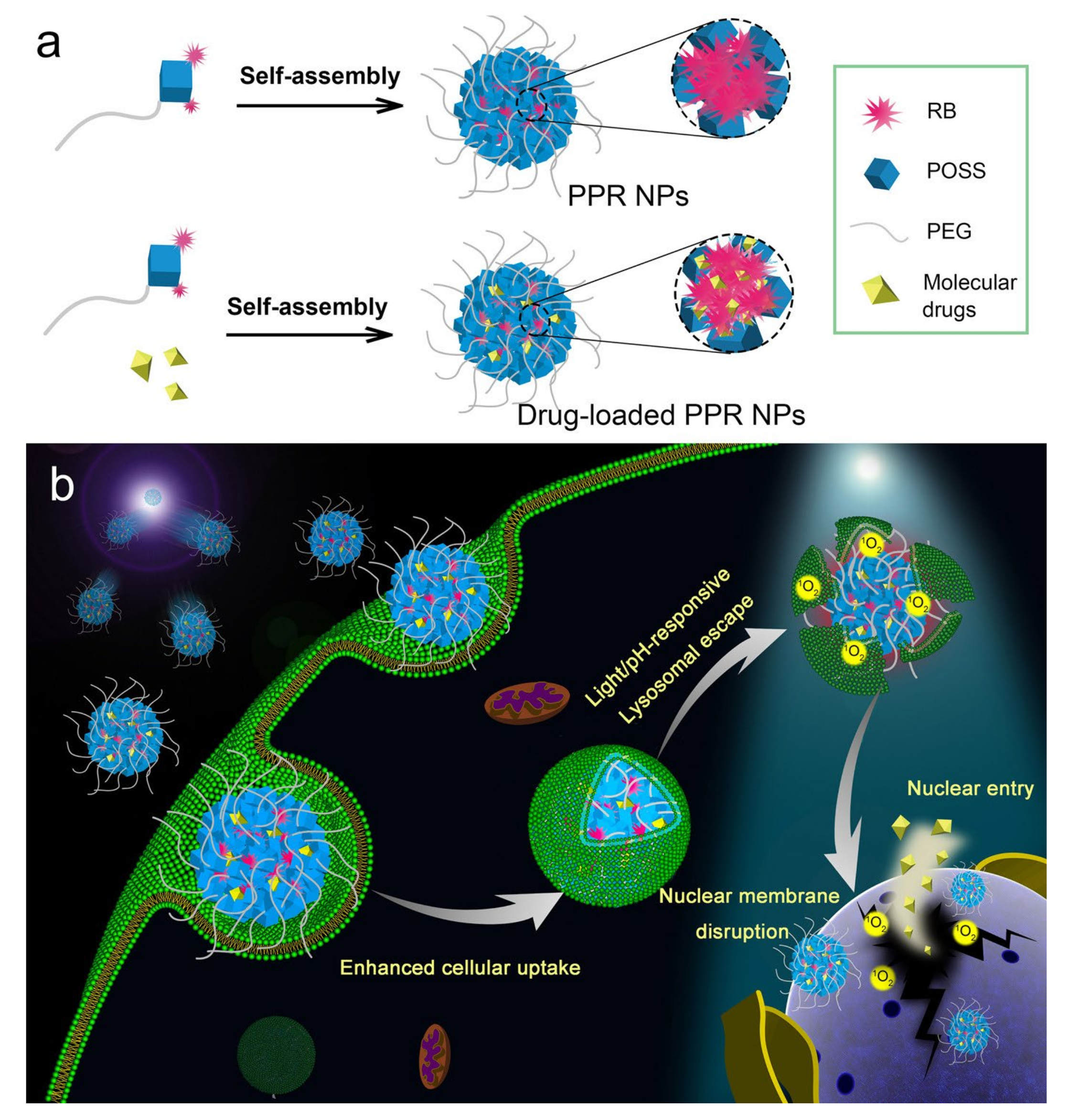 Molecules 26 06453 g005