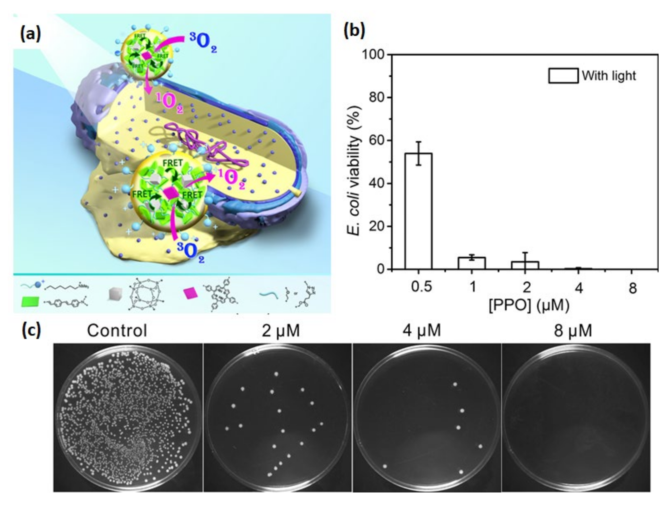 Molecules 26 06453 g007