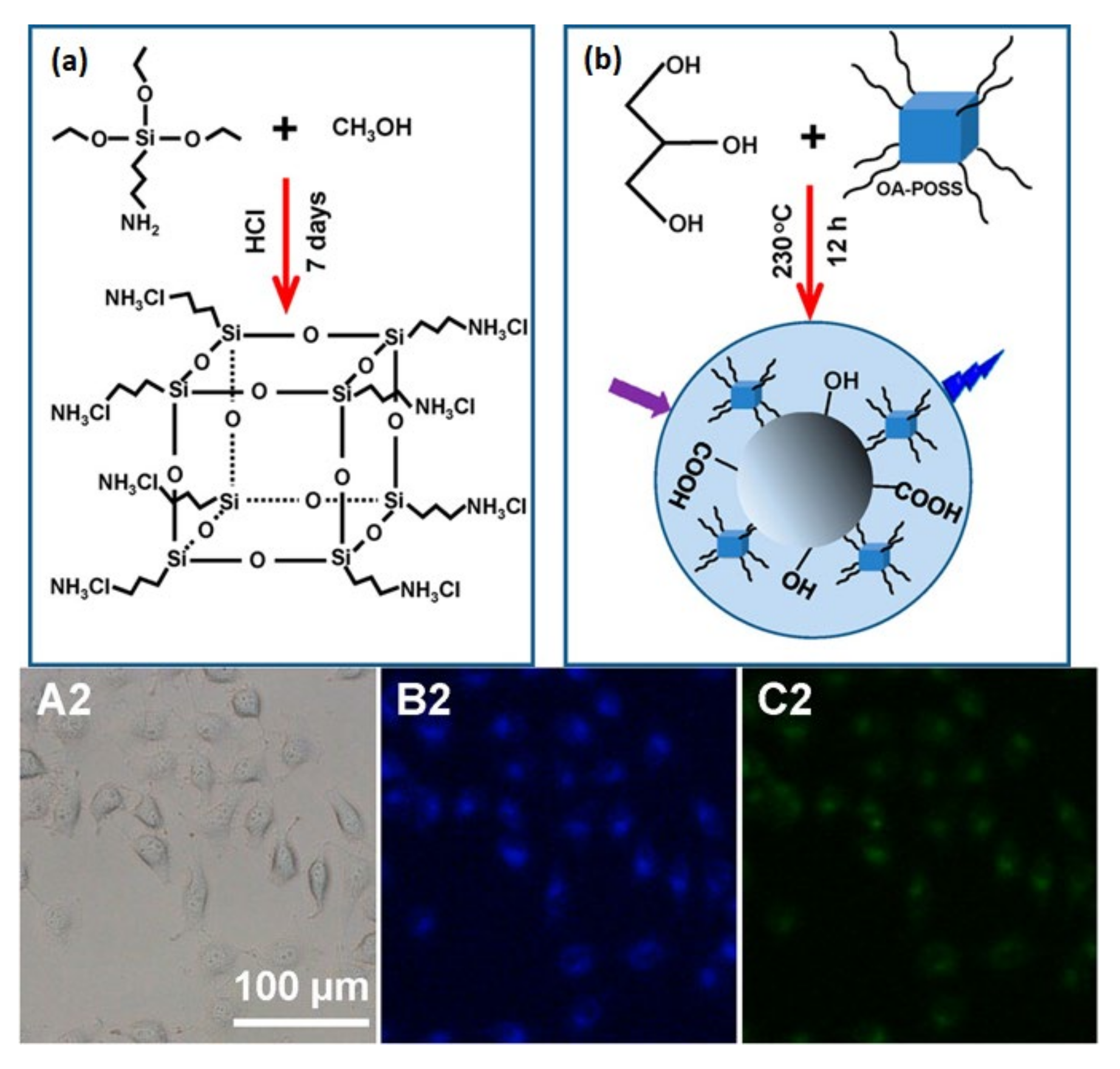 Molecules 26 06453 g010