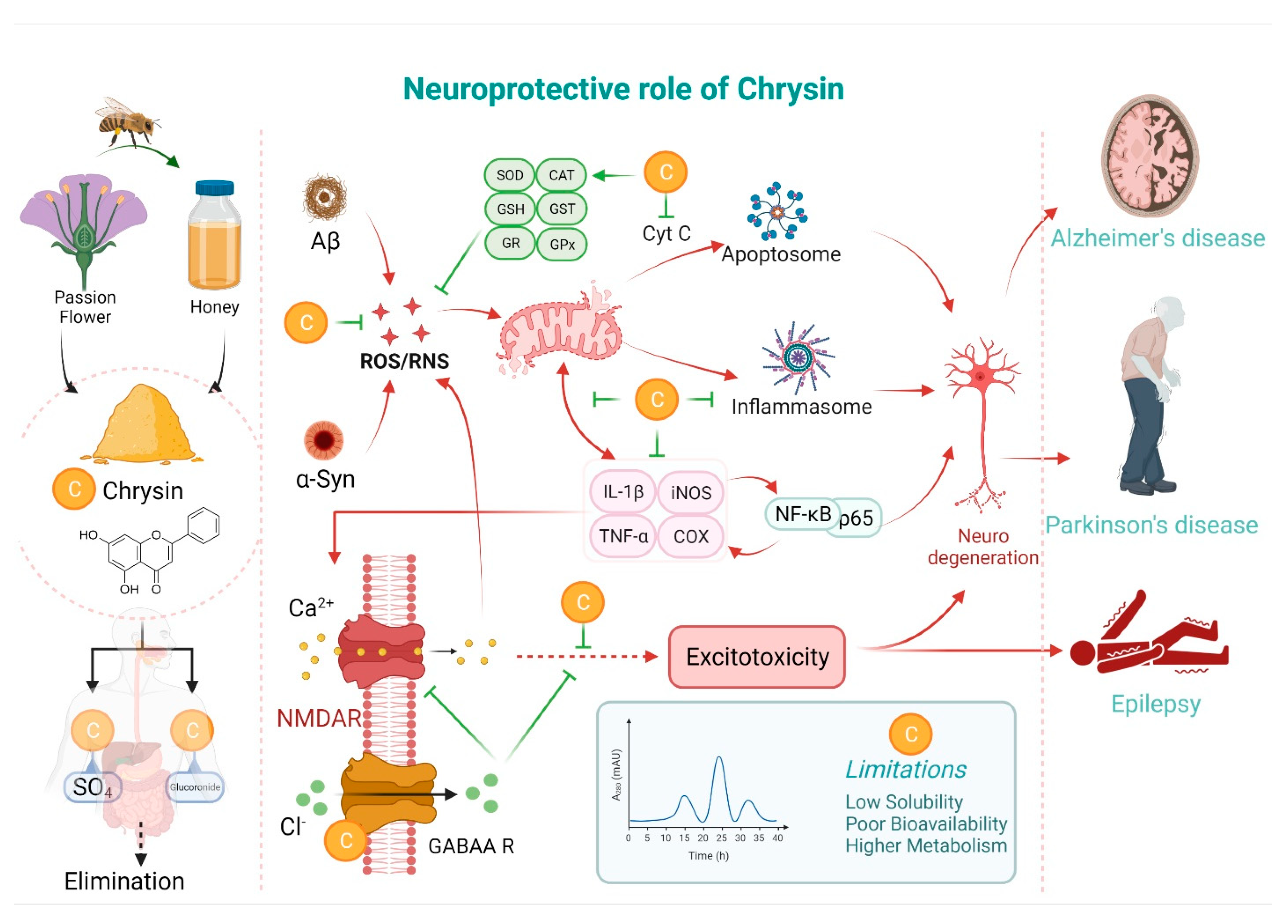 Molecules 26 06456 g002 Molecules 26 06456 g002