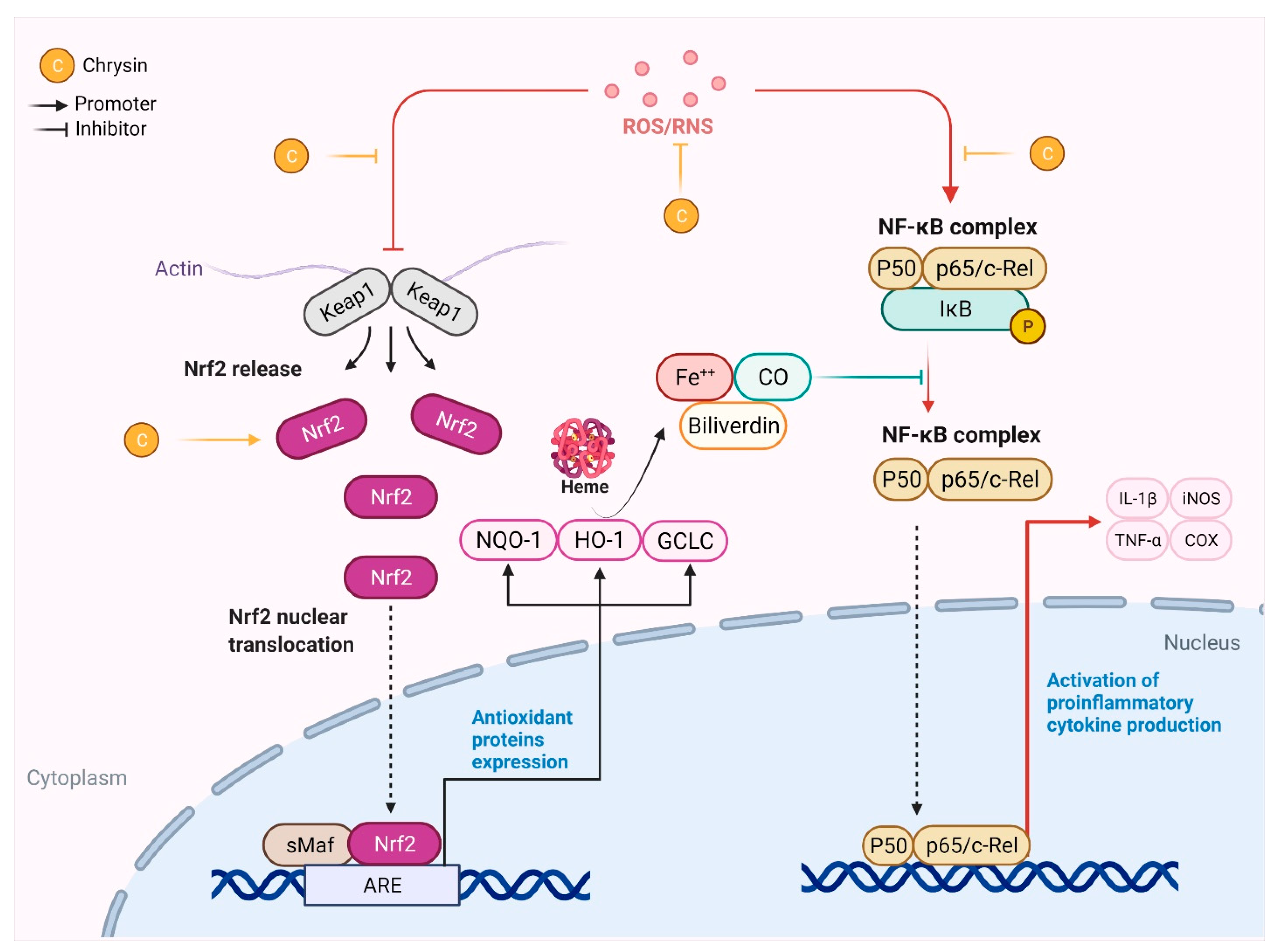 Molecules 26 06456 g003 Molecules 26 06456 g003