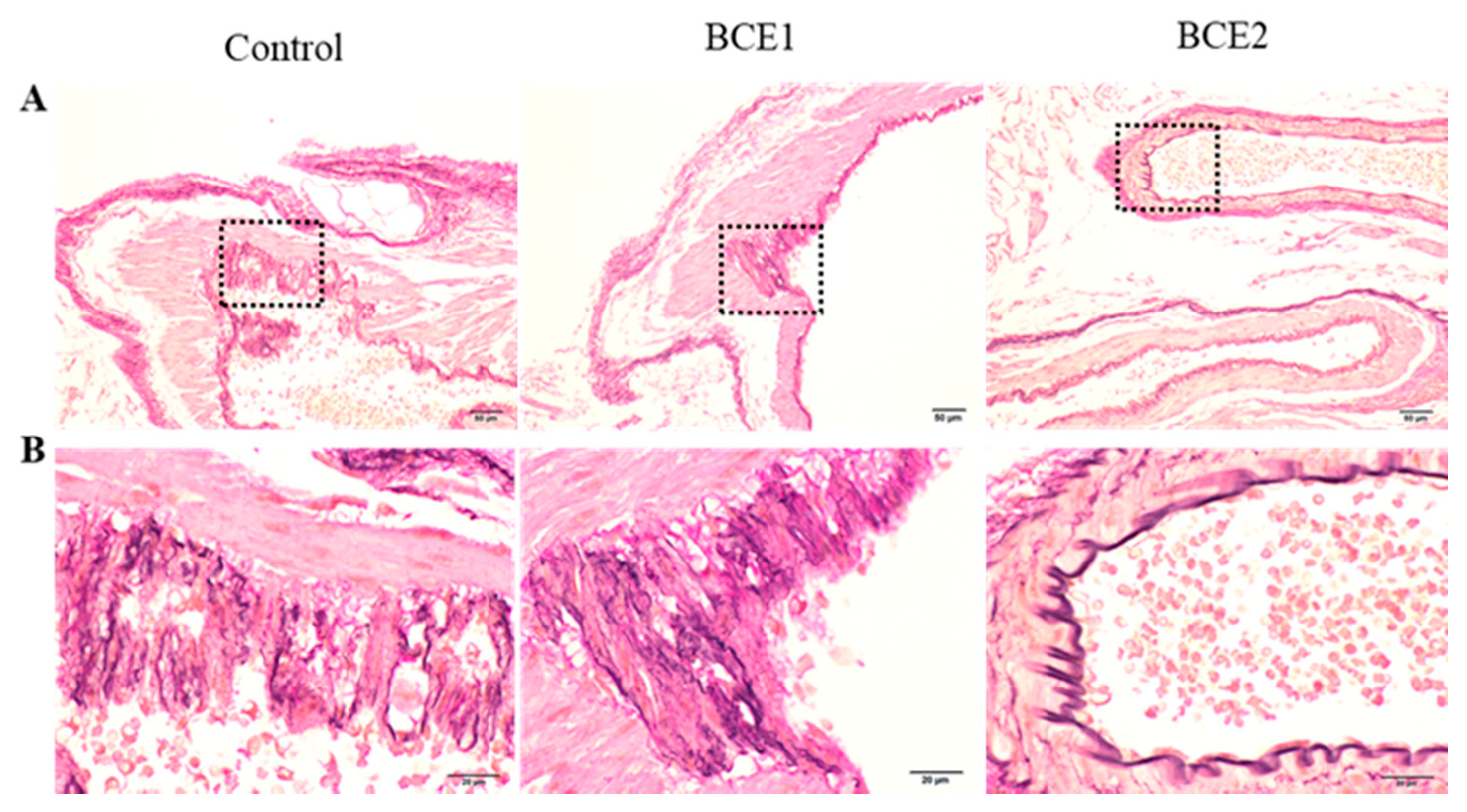Molecules 26 06459 g001 550