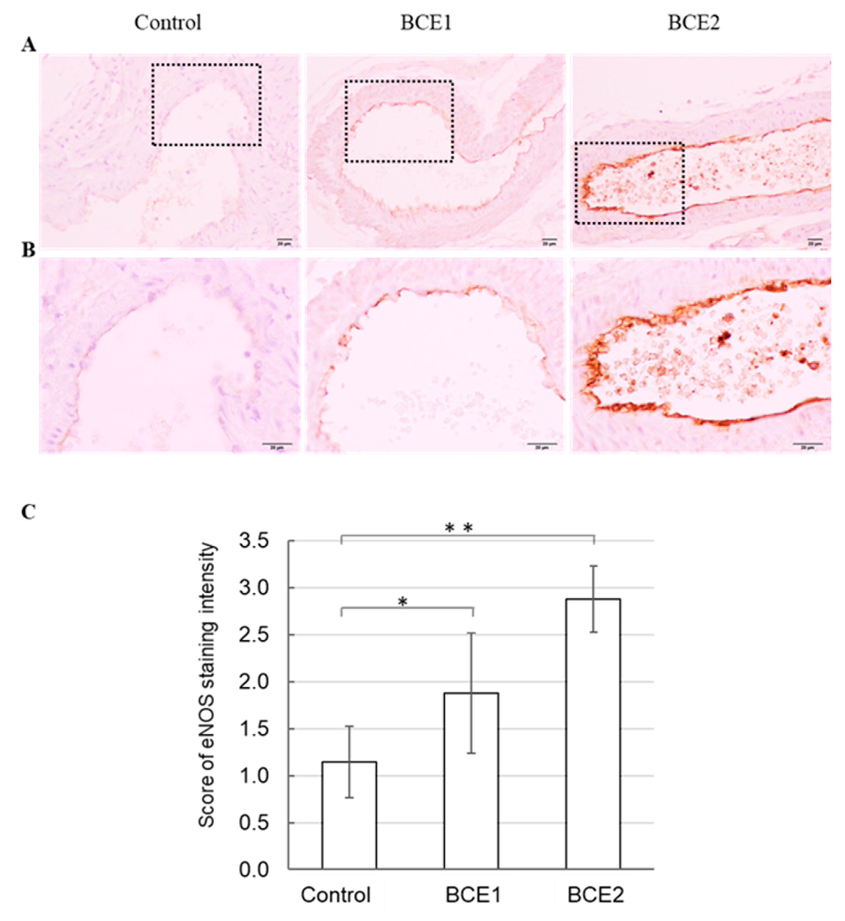 Molecules 26 06459 g002 550
