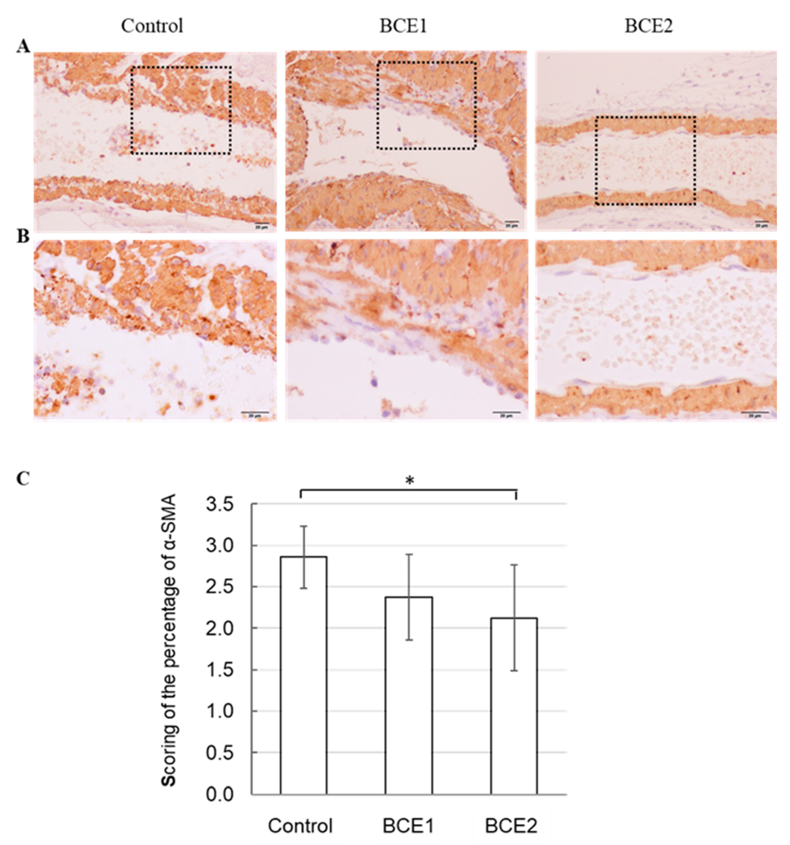 Molecules 26 06459 g003 550