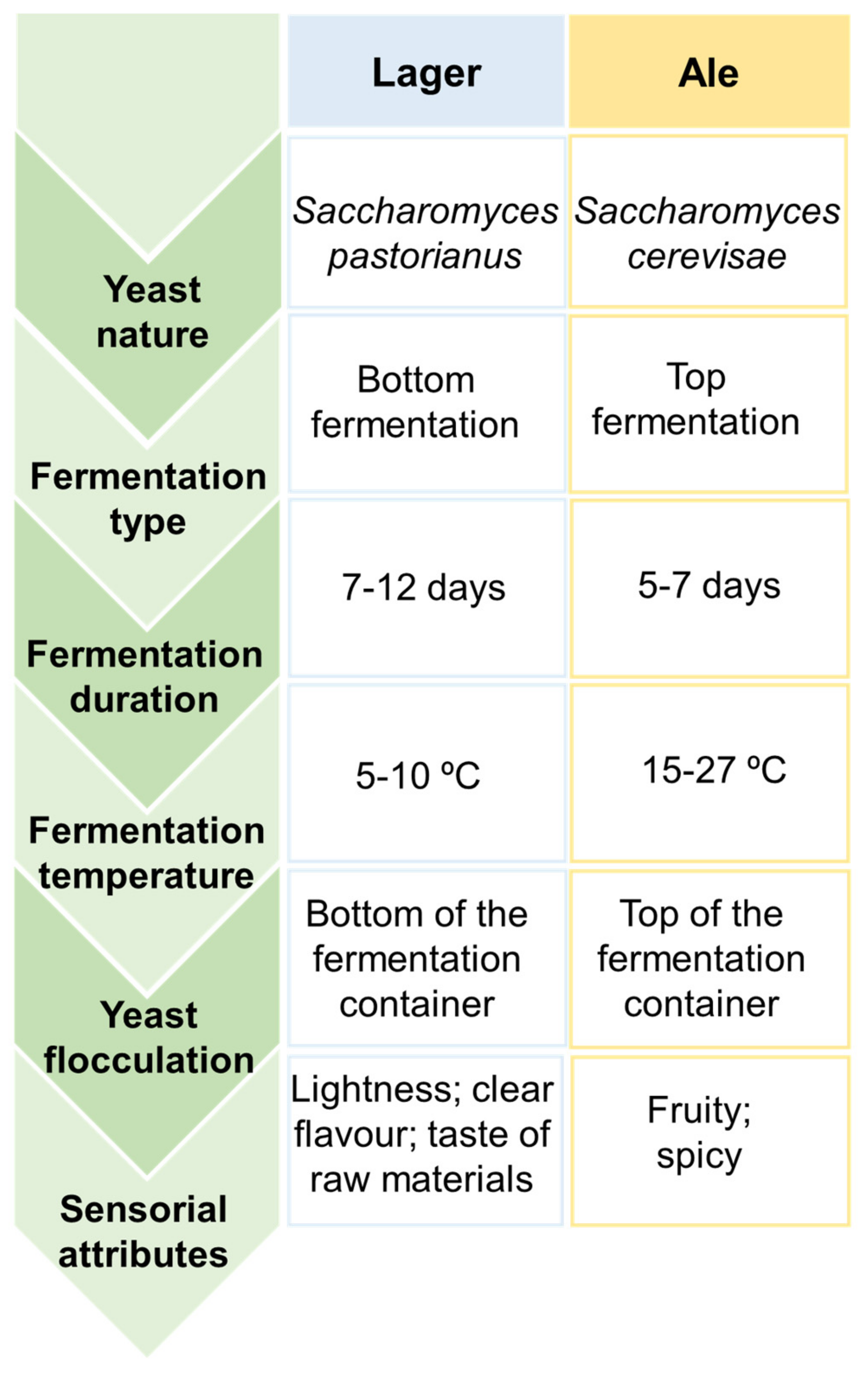 Molecules 26 06460 g002