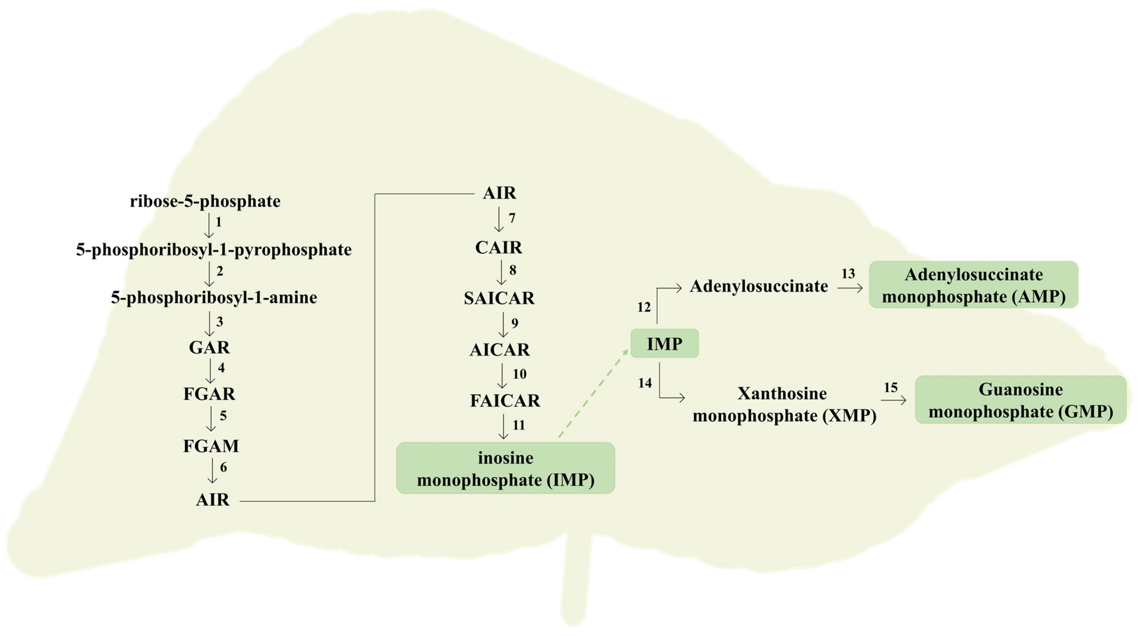 Molecules 26 06460 g005