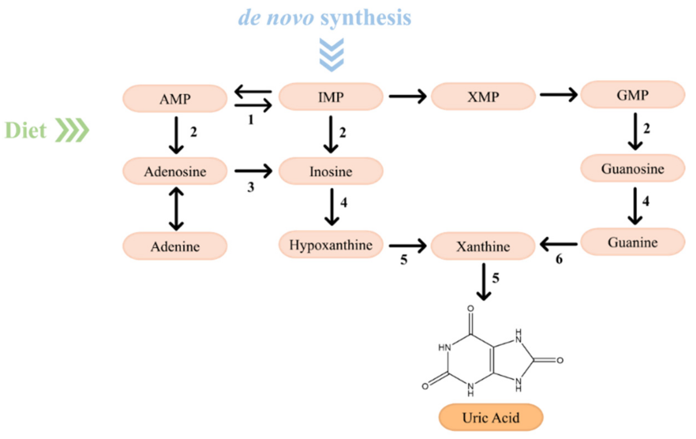 Molecules 26 06460 g007