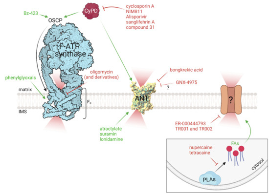 Molecules Free Full Text Modulation and Pharmacology of the
