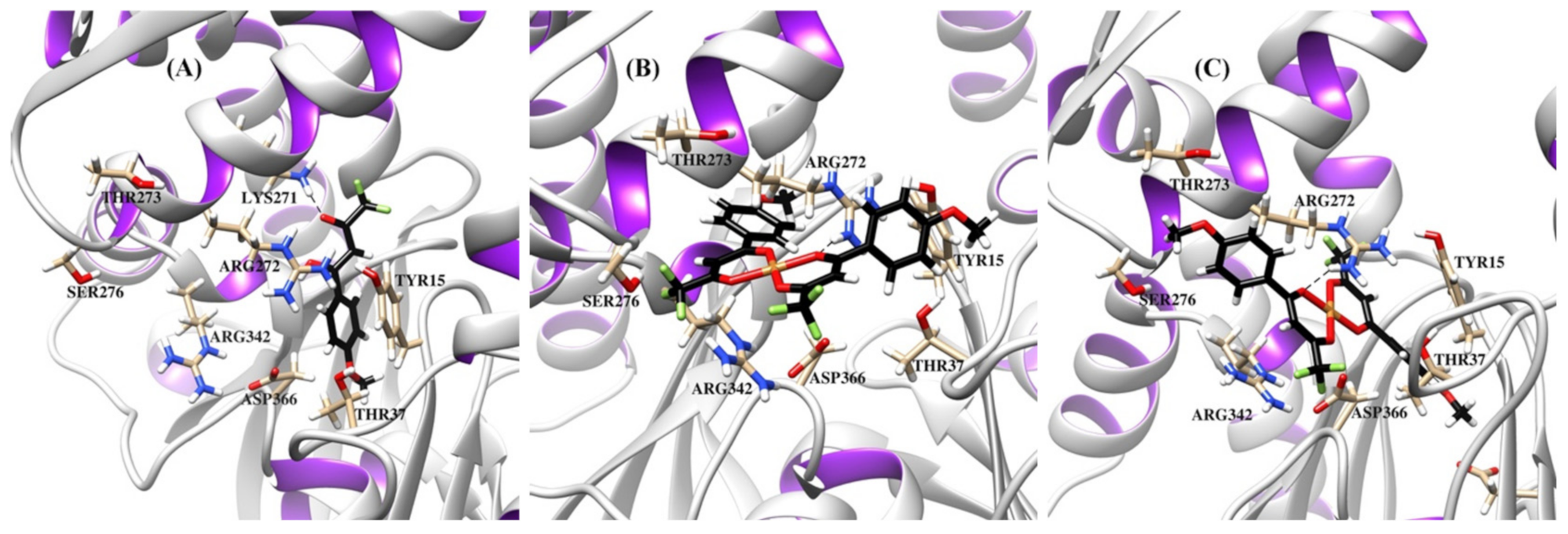 Molecules 26 06466 g009