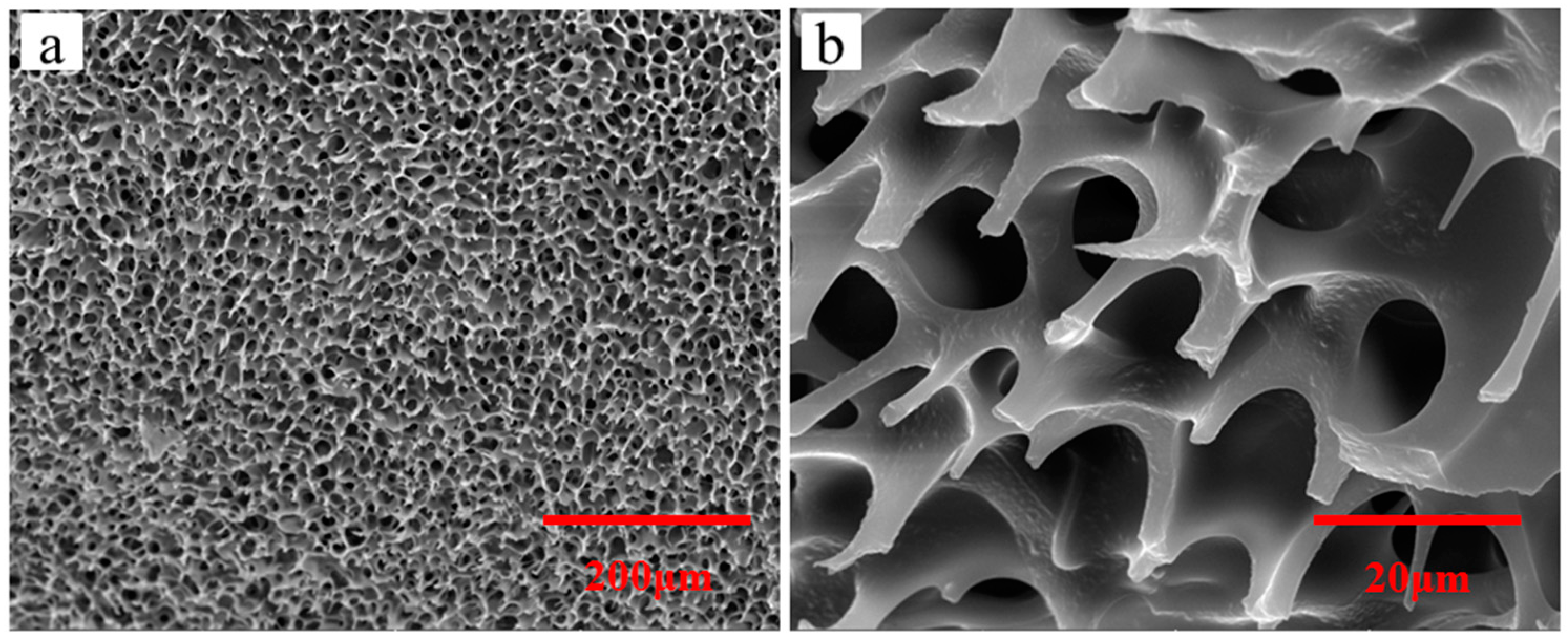 Molecules 26 06471 g002 550