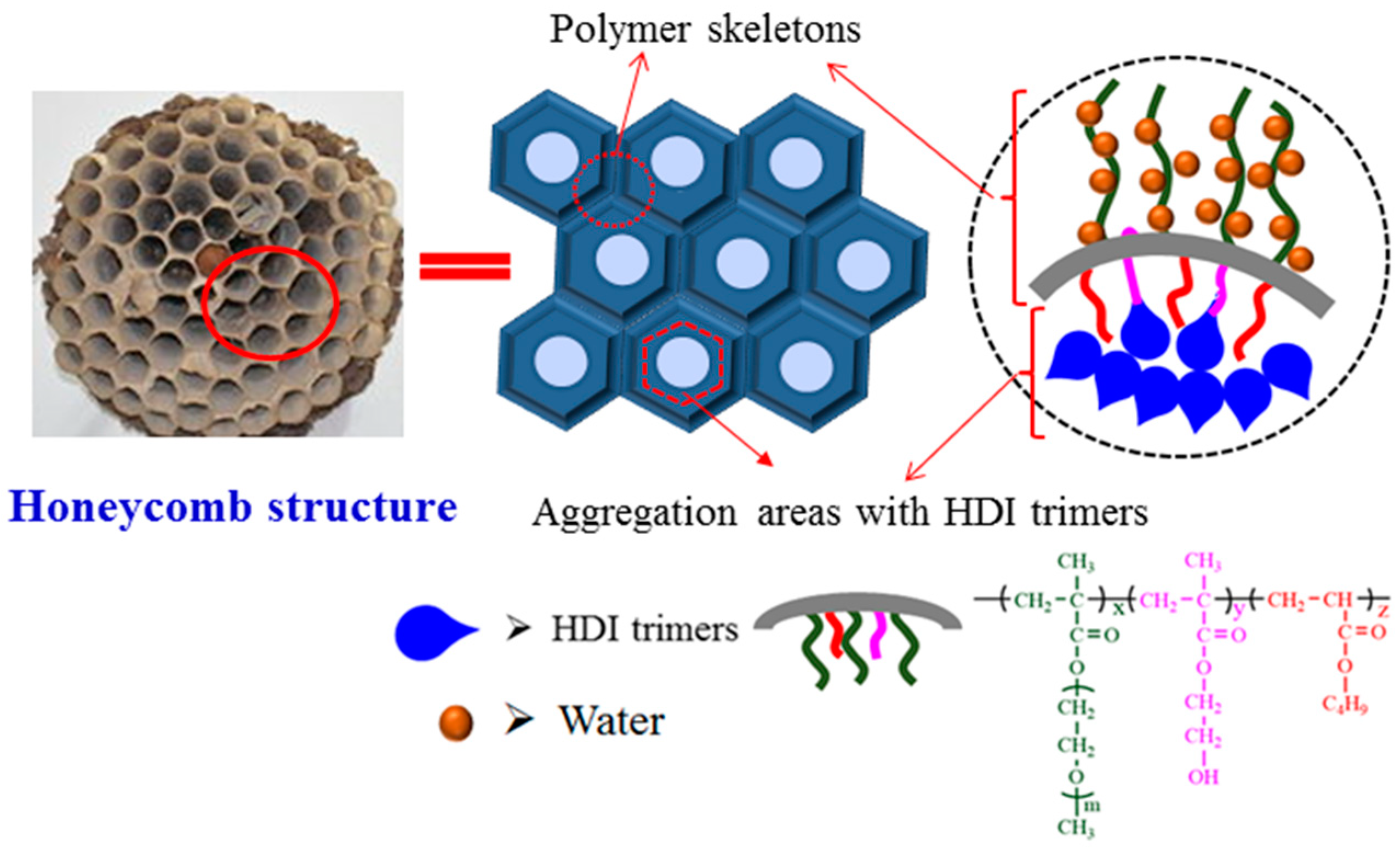 Molecules 26 06471 g003 550