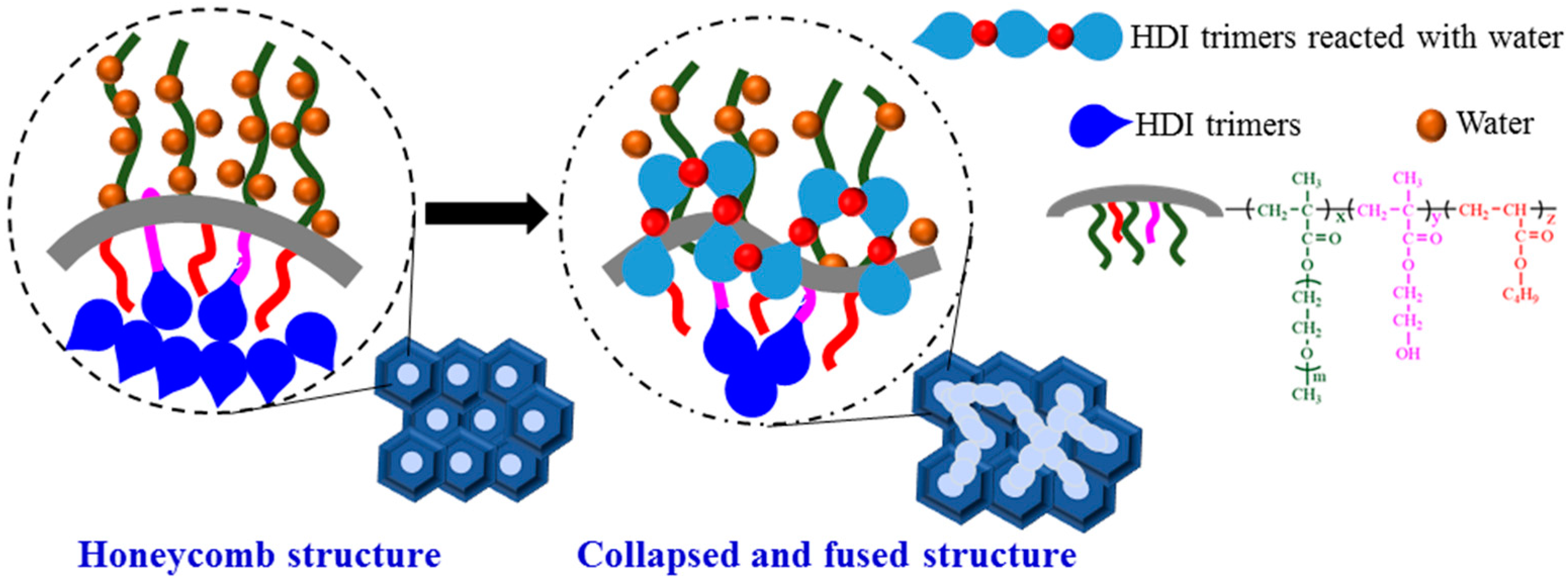 Molecules 26 06471 g006 550