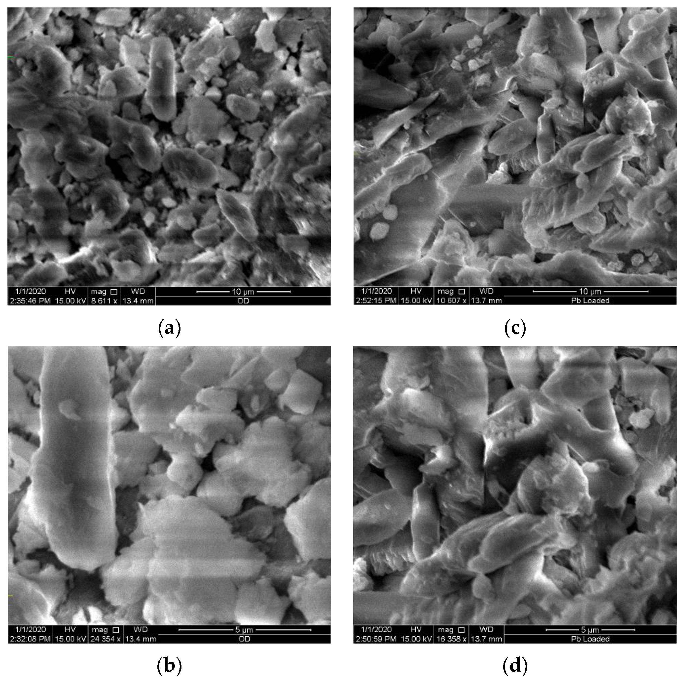 Molecules 26 06477 g001 Molecules 26 06477 g001