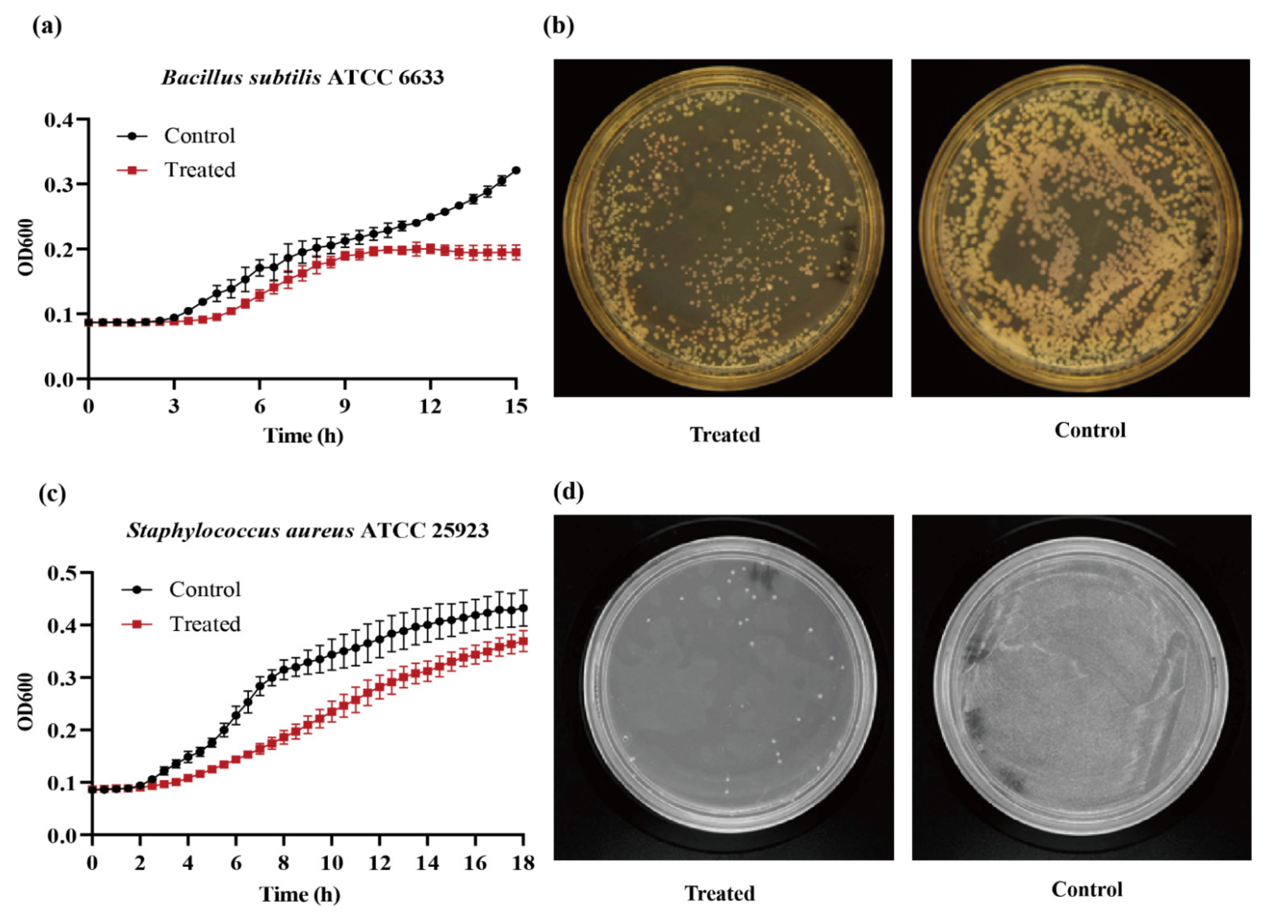 Molecules 26 06480 g003