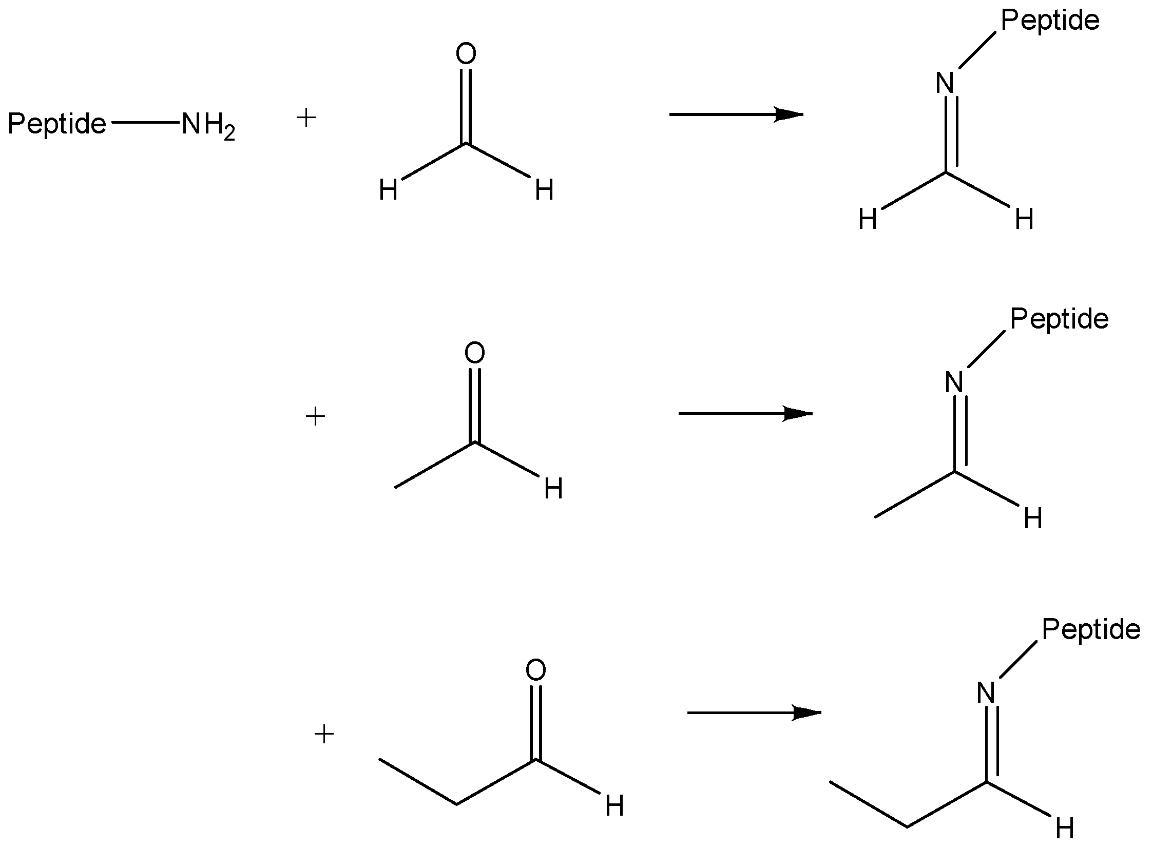 Molecules 26 06481 g002 550