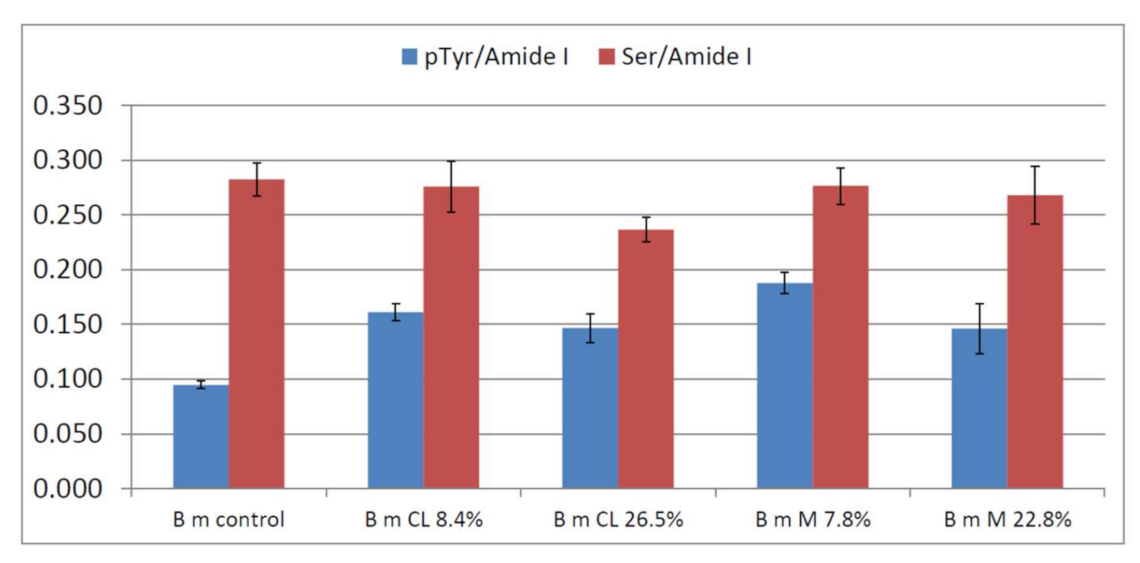 Molecules 26 06487 g004 Molecules 26 06487 g004