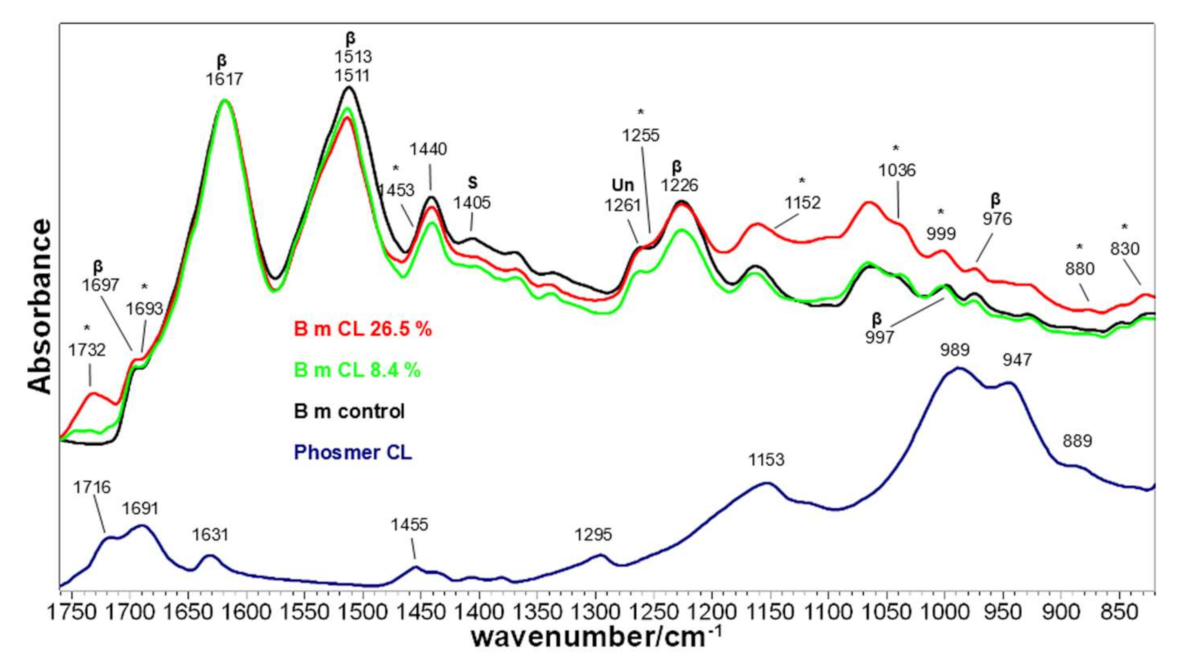 Molecules 26 06487 g005 Molecules 26 06487 g005