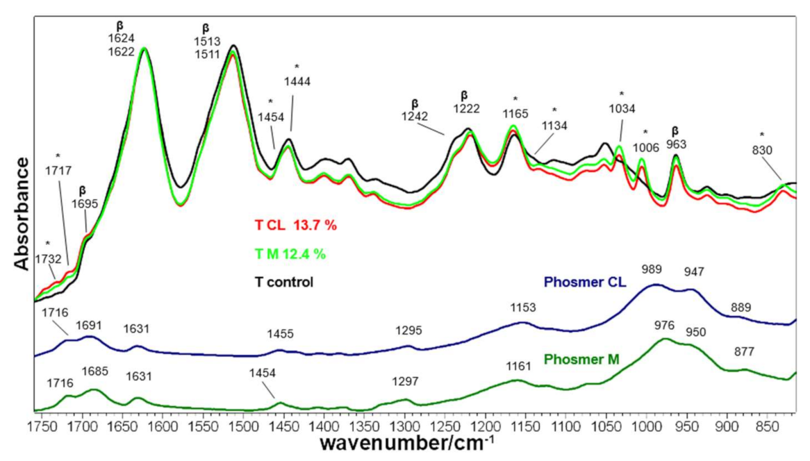 Molecules 26 06487 g010 Molecules 26 06487 g010