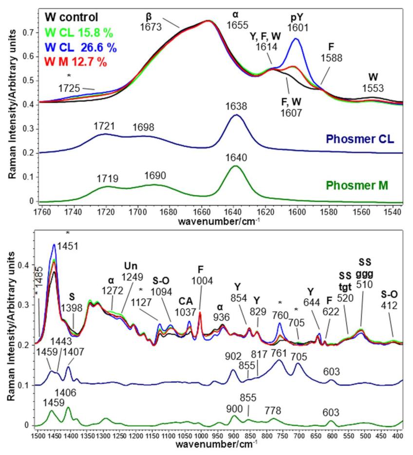 Molecules 26 06487 g011 Molecules 26 06487 g011