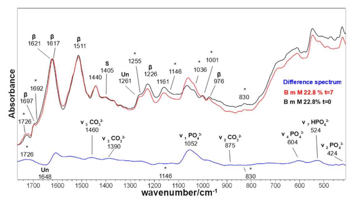 Molecules 26 06487 g015 Molecules 26 06487 g015