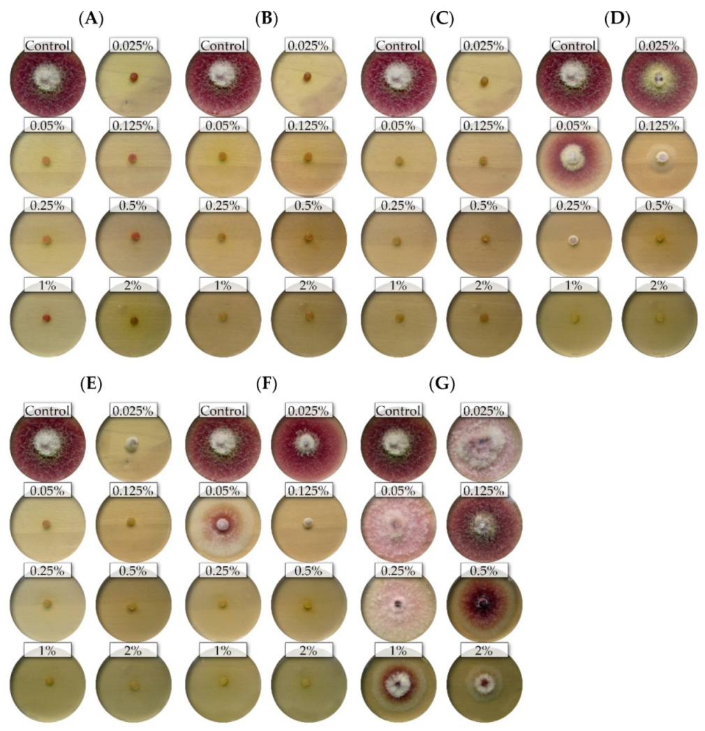 Molecules 26 06488 g001 Molecules 26 06488 g001