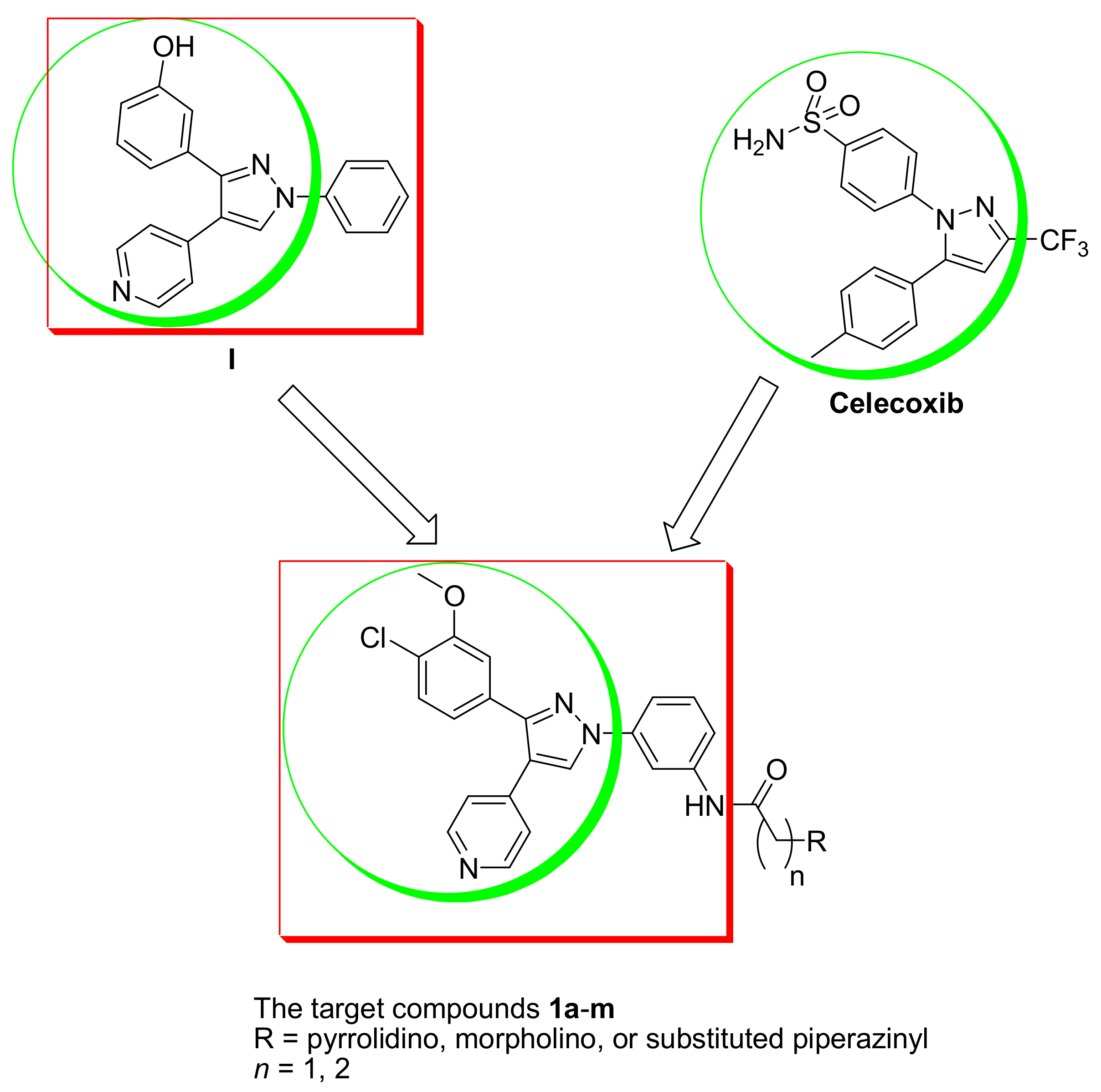 Molecules 26 06489 g001