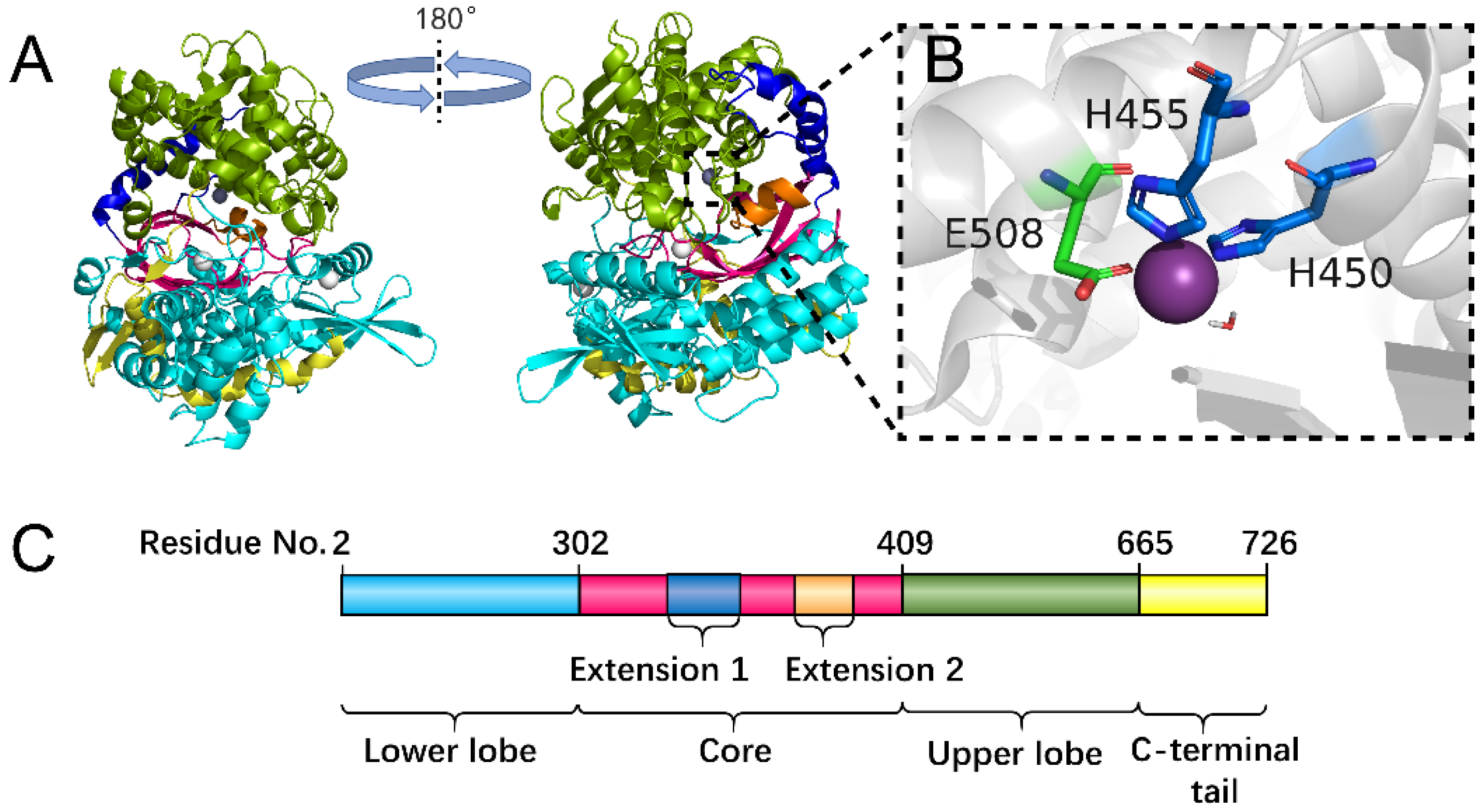 Molecules 26 06492 g001