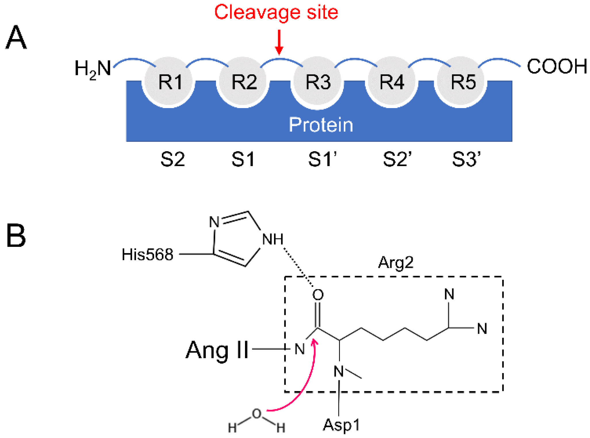 Molecules 26 06492 g002
