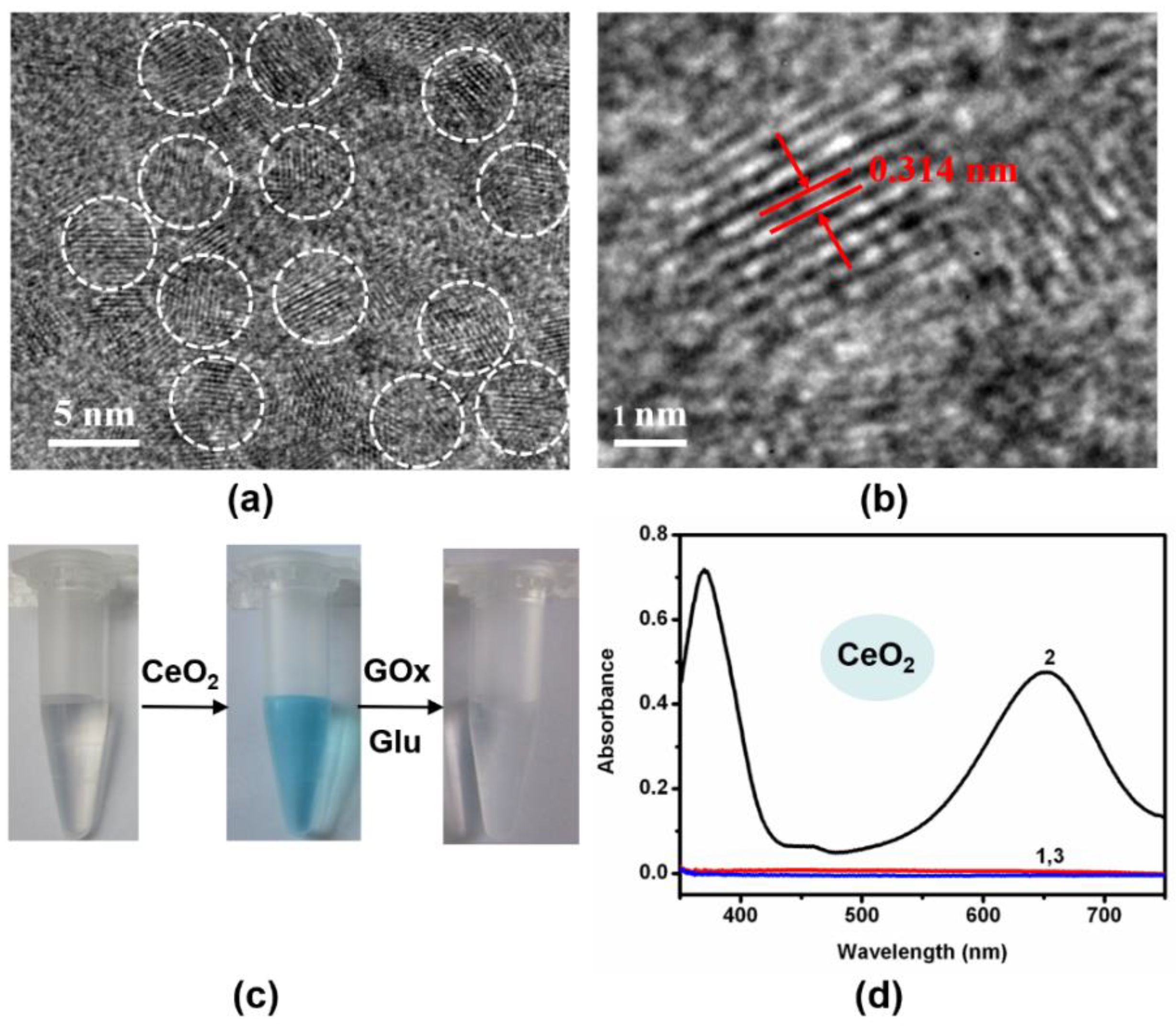 Molecules 26 06494 g002 550