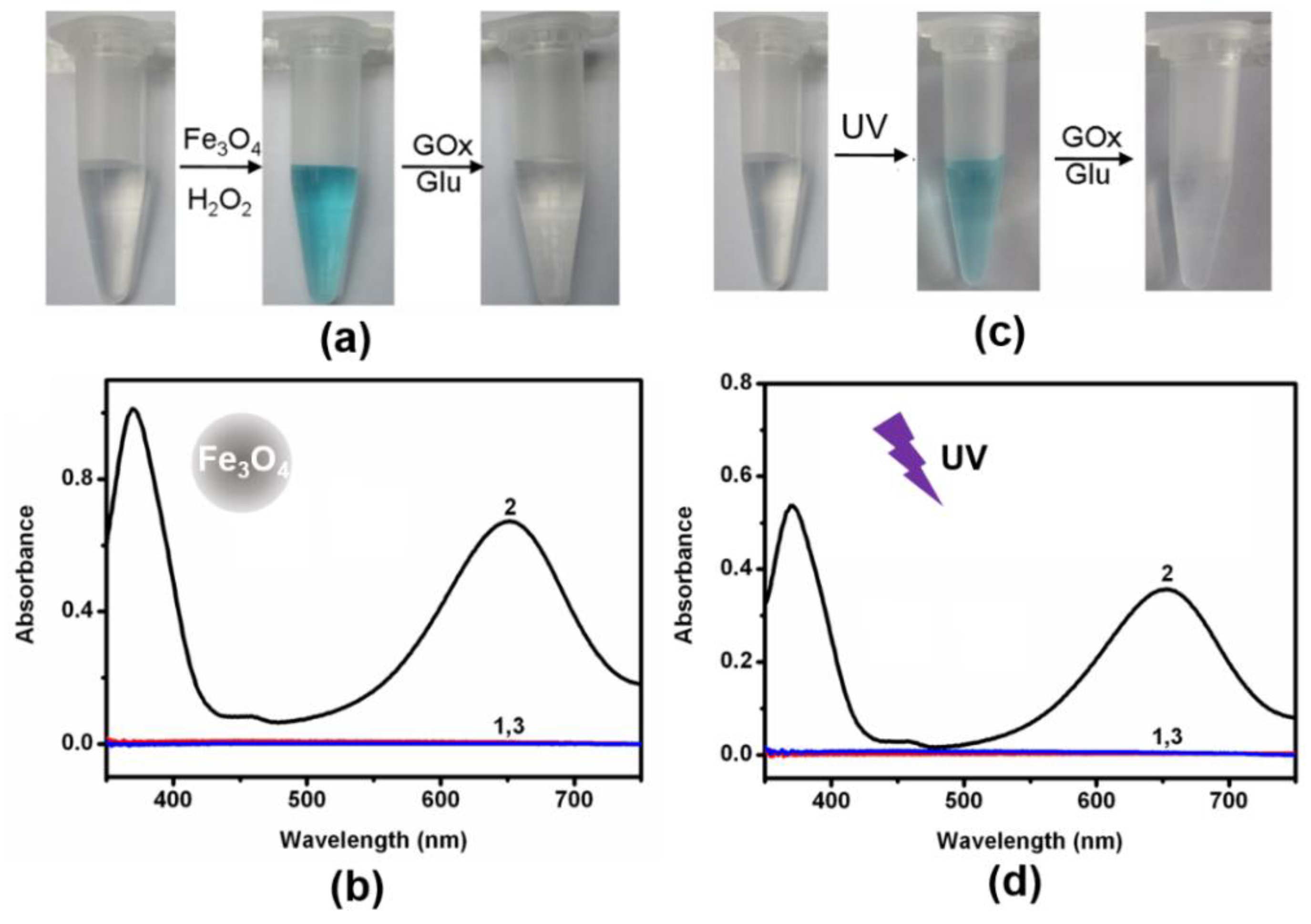 Molecules 26 06494 g003 550