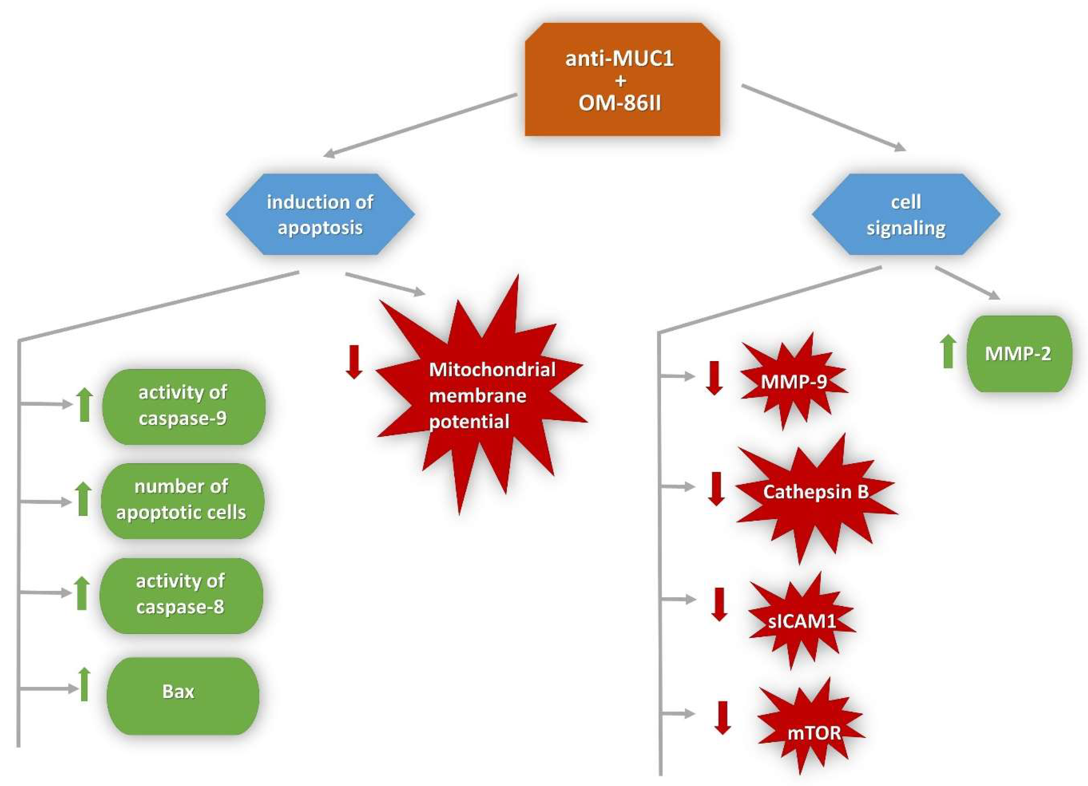 Molecules 26 06504 g016