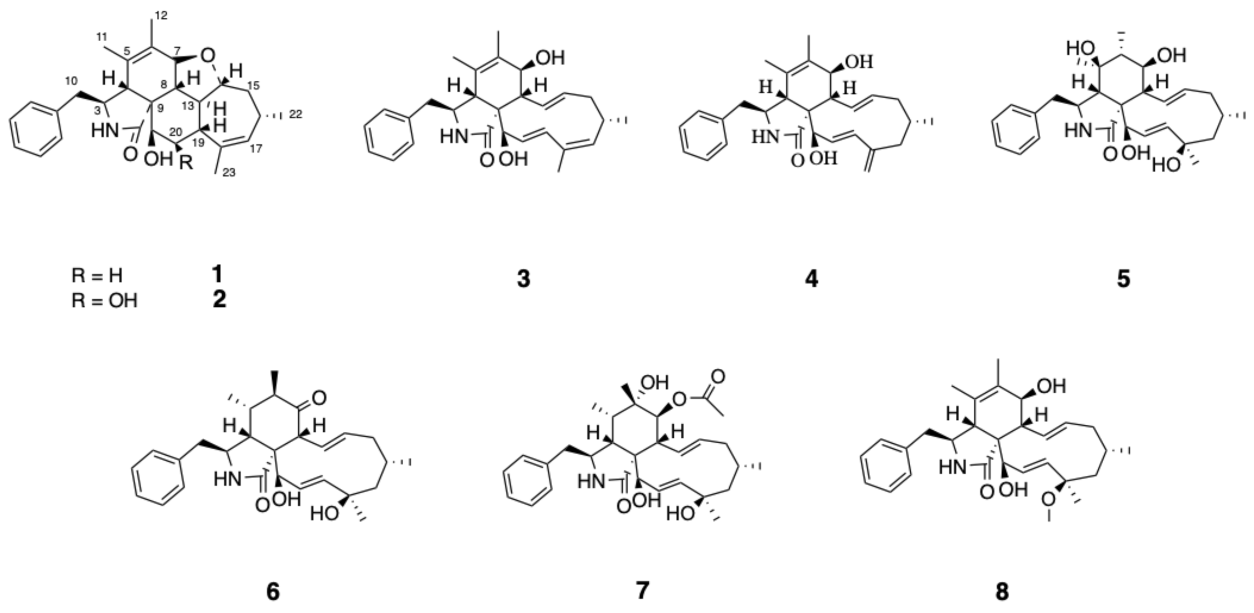Molecules 26 06505 g001
